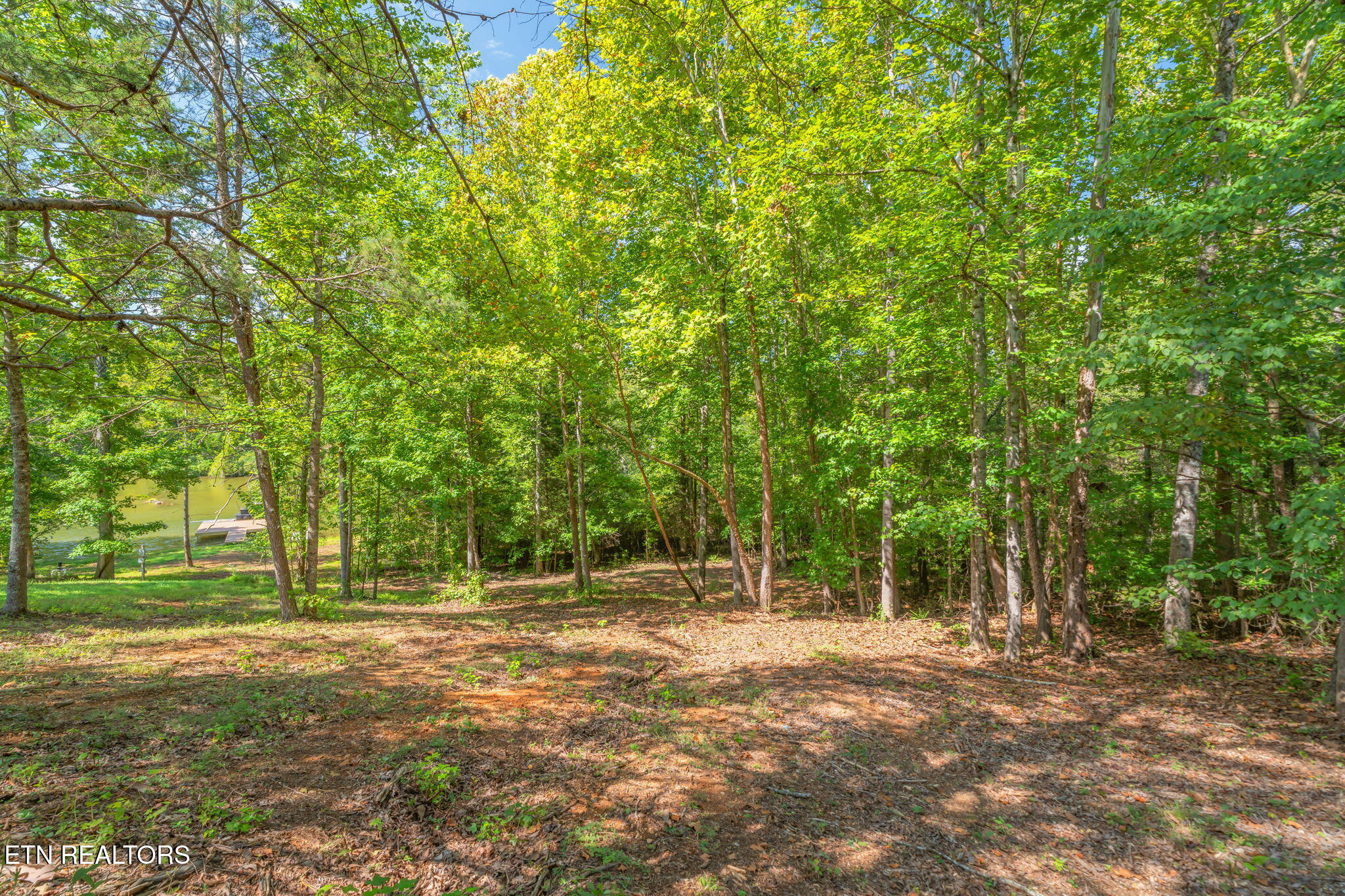 104 Blue Heron Harriman TN 37748