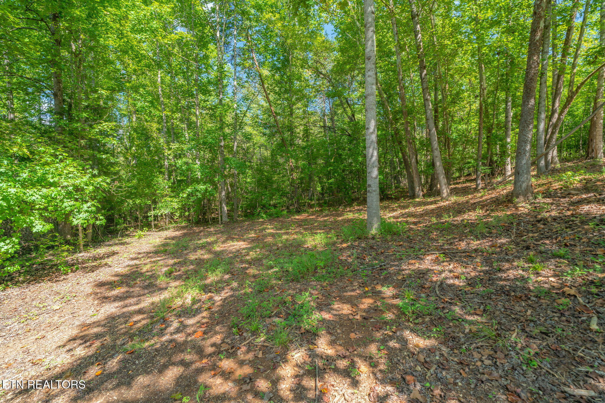 104 Blue Heron Harriman TN 37748