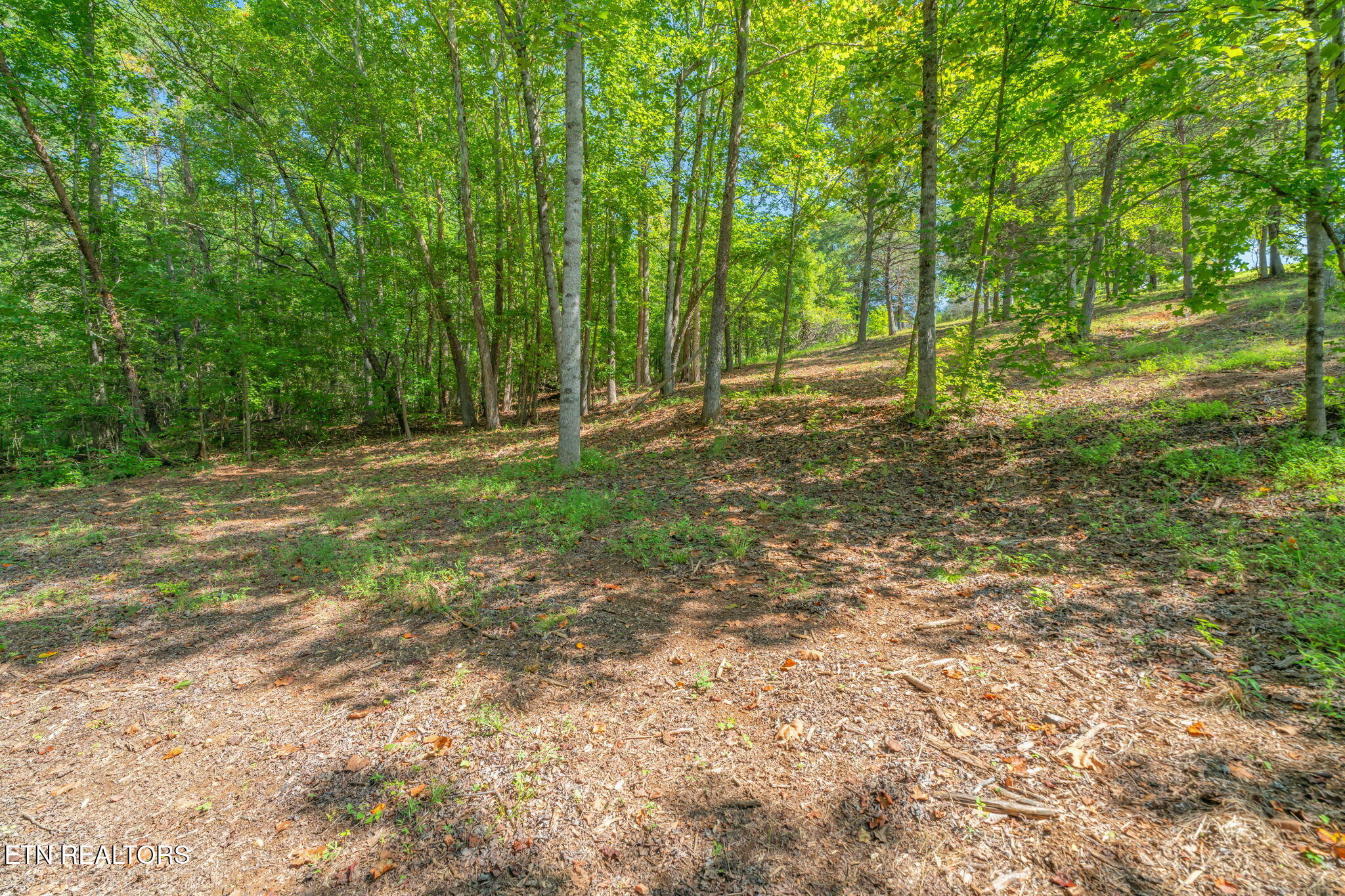 104 Blue Heron Harriman TN 37748