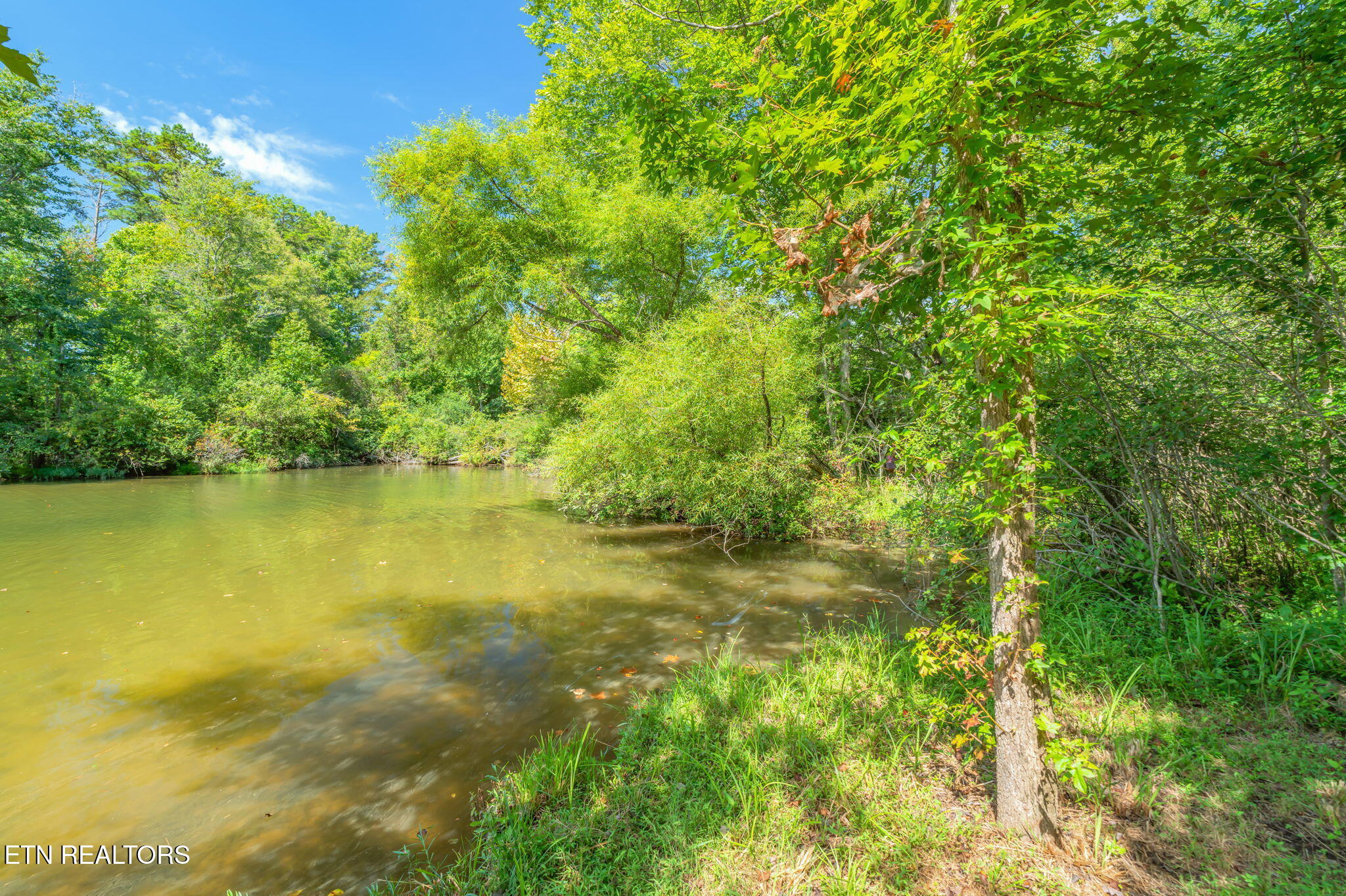 104 Blue Heron Harriman TN 37748