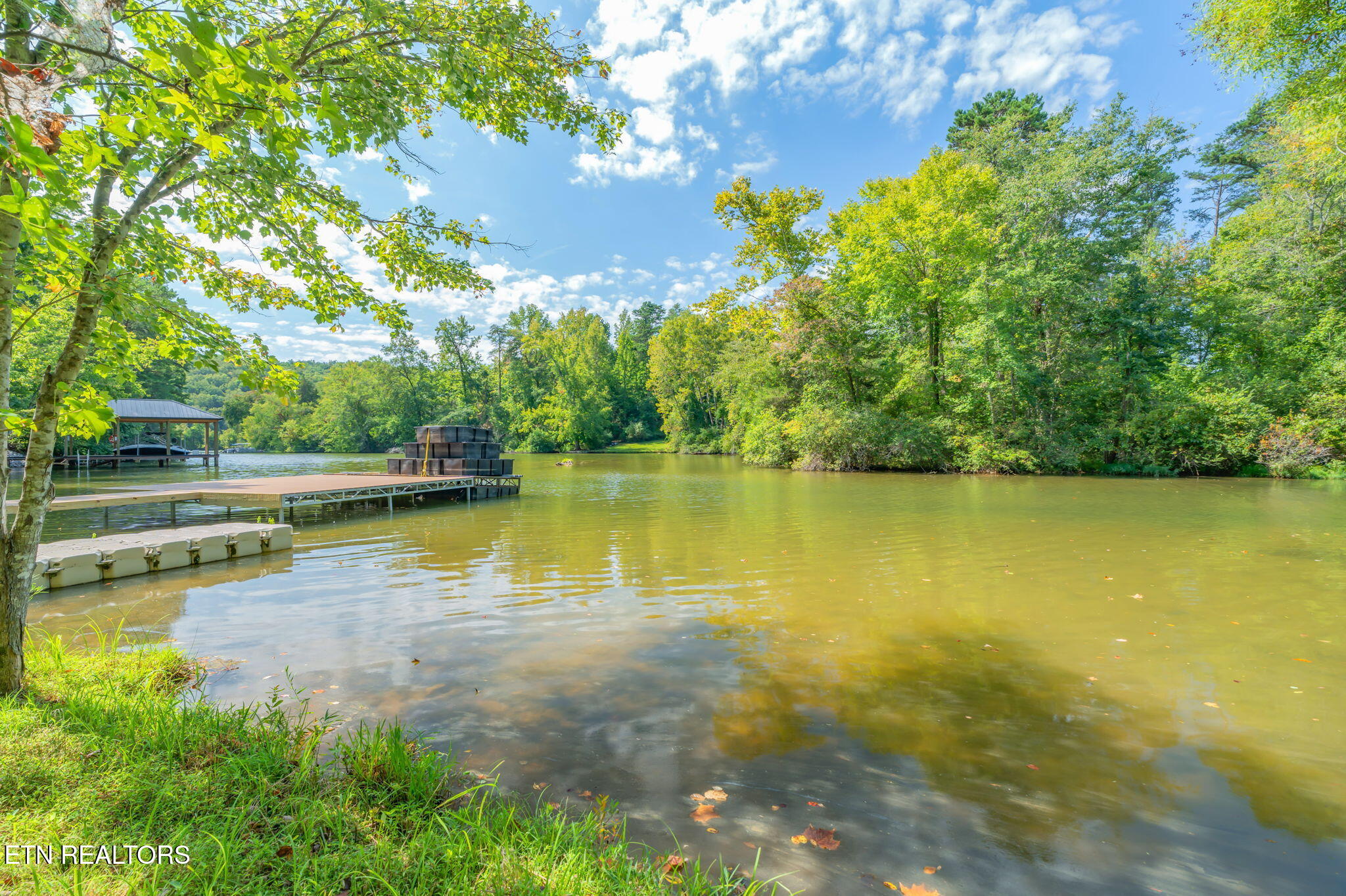 104 Blue Heron Harriman TN 37748
