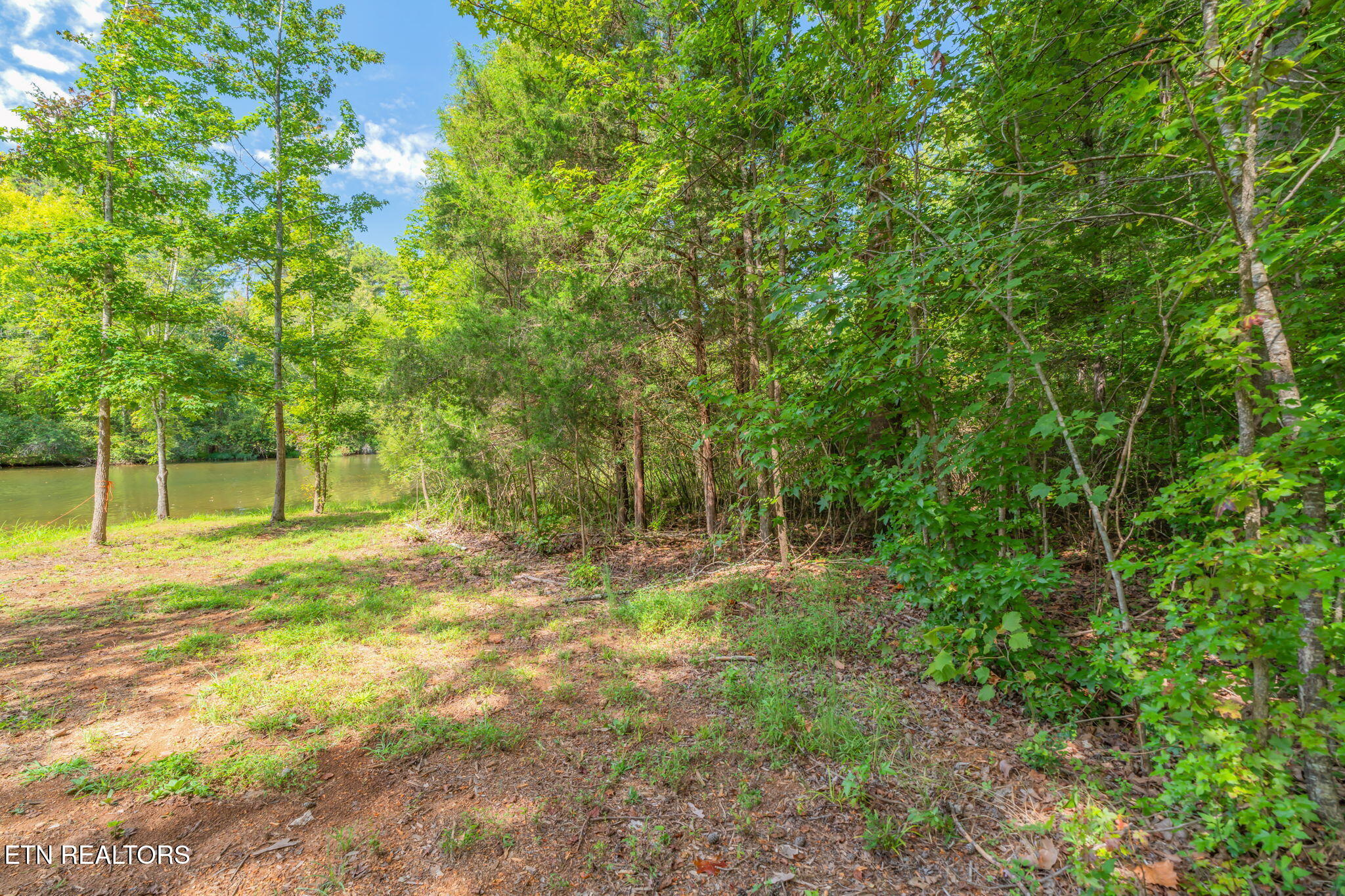 104 Blue Heron Harriman TN 37748