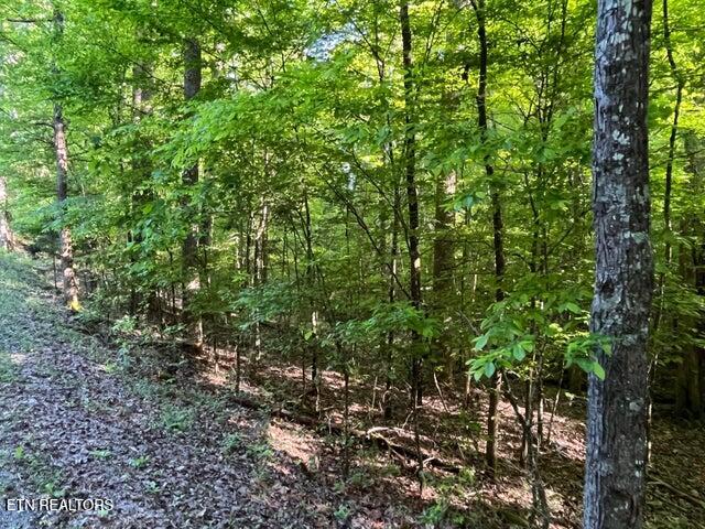 328-329 Omega Drive Spring City TN 37381