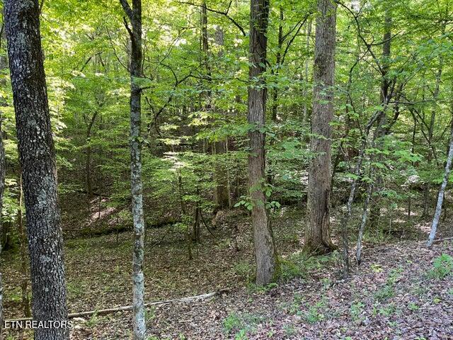 328-329 Omega Drive Spring City TN 37381