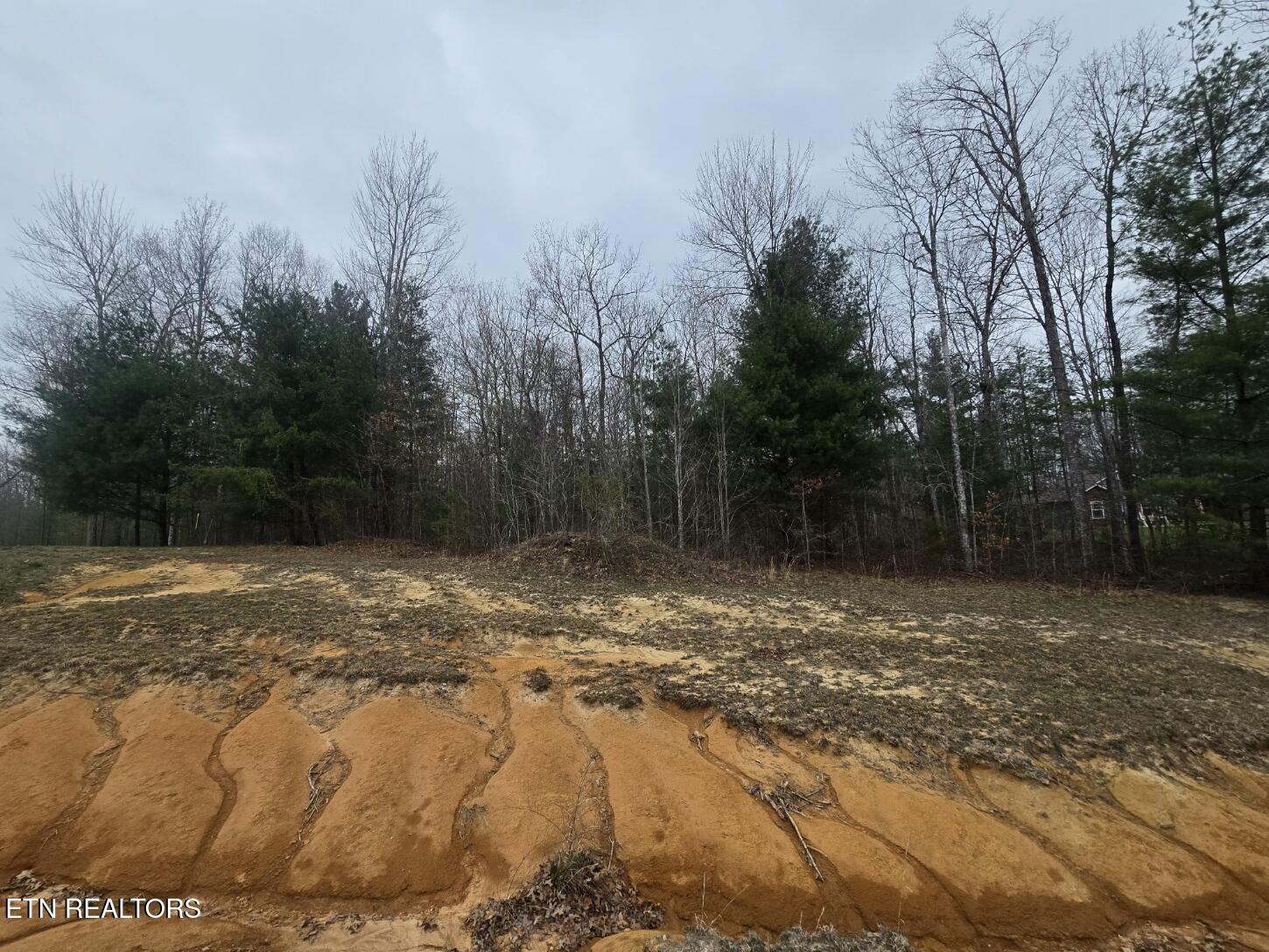 Lot 93 Kayla Lane Oneida TN 37841