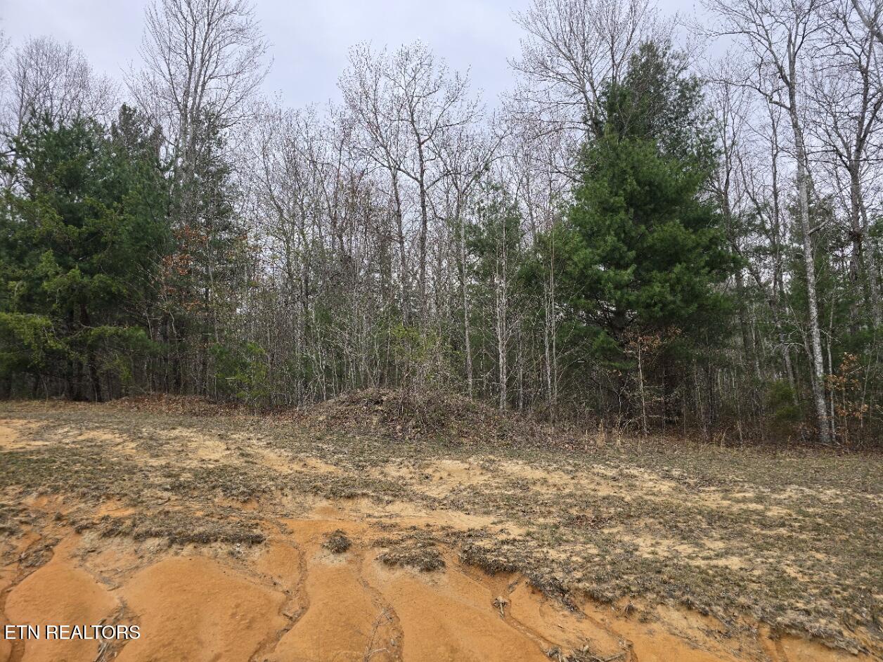 Lot 93 Kayla Lane Oneida TN 37841