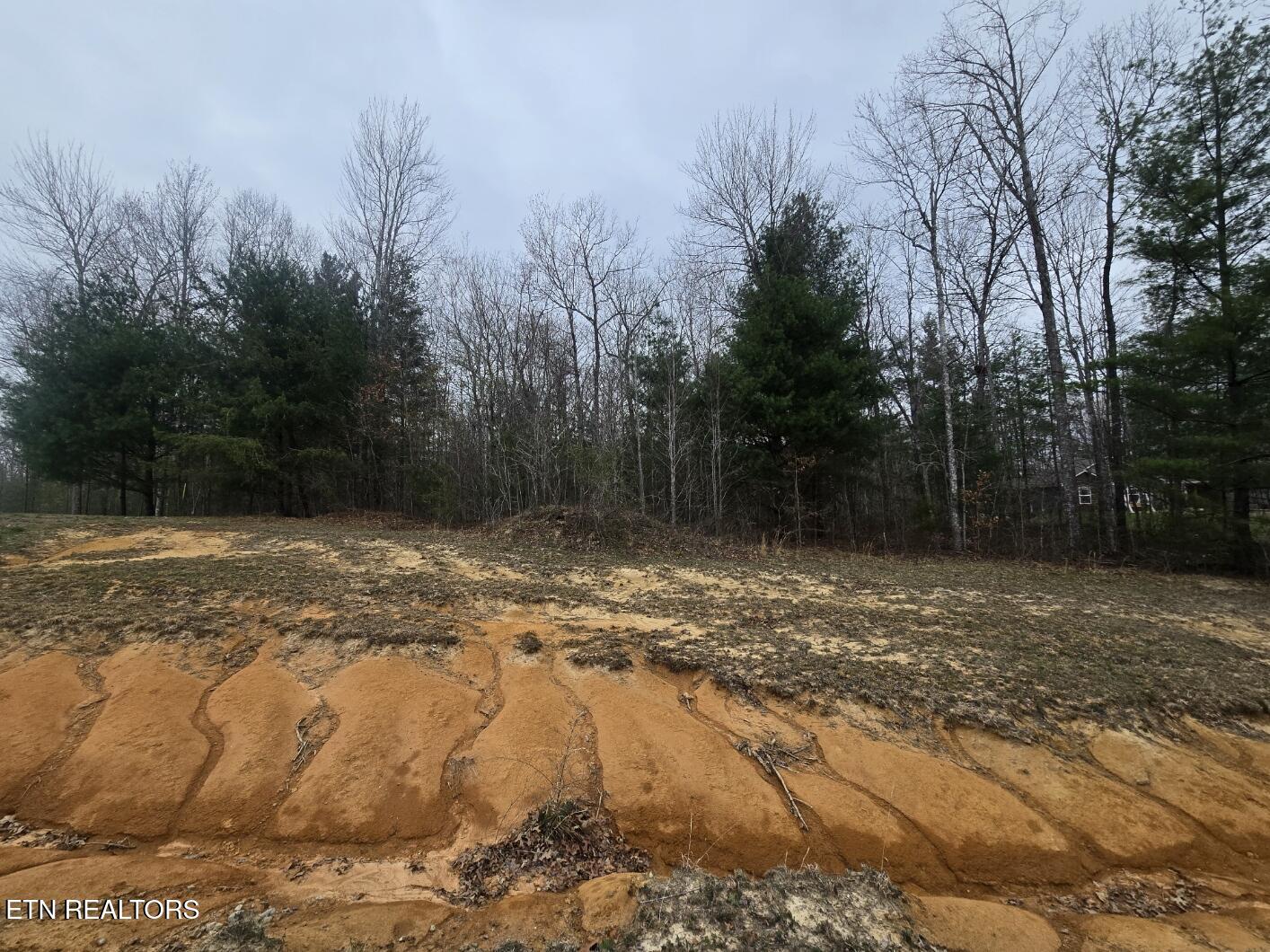 Lot 93 Kayla Lane Oneida TN 37841
