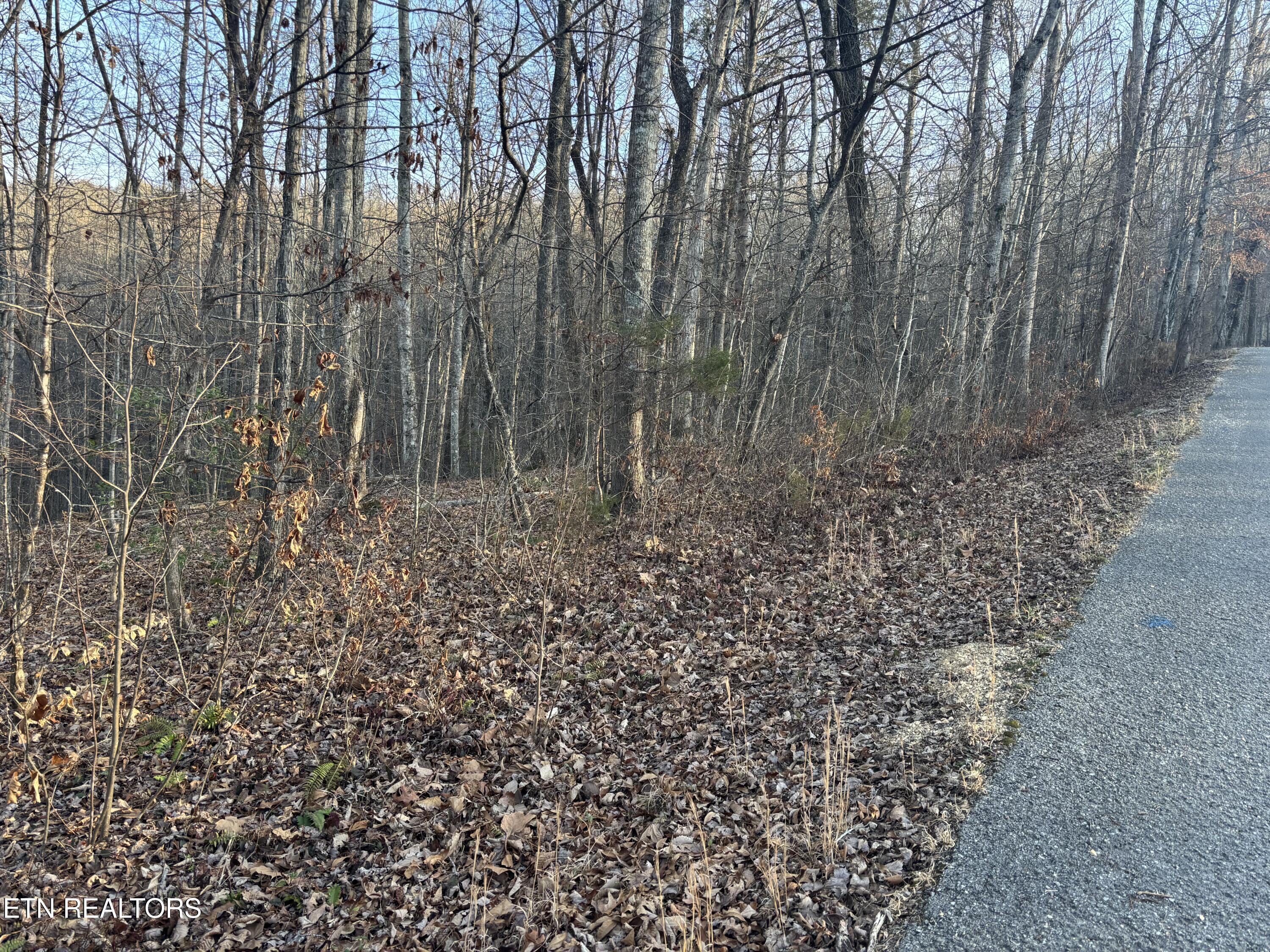 Kay Drive Lafollette TN 37766