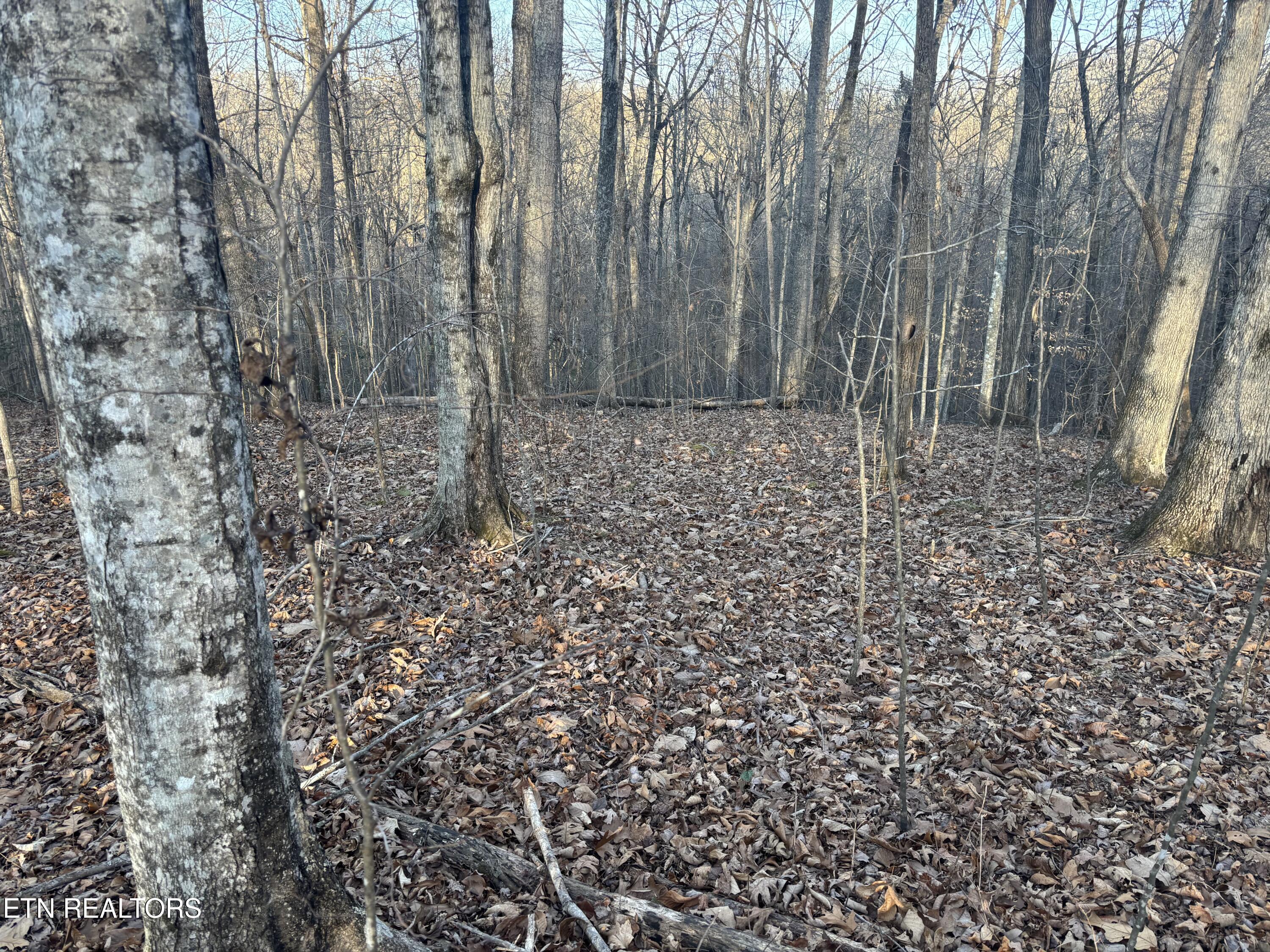 Kay Drive Lafollette TN 37766