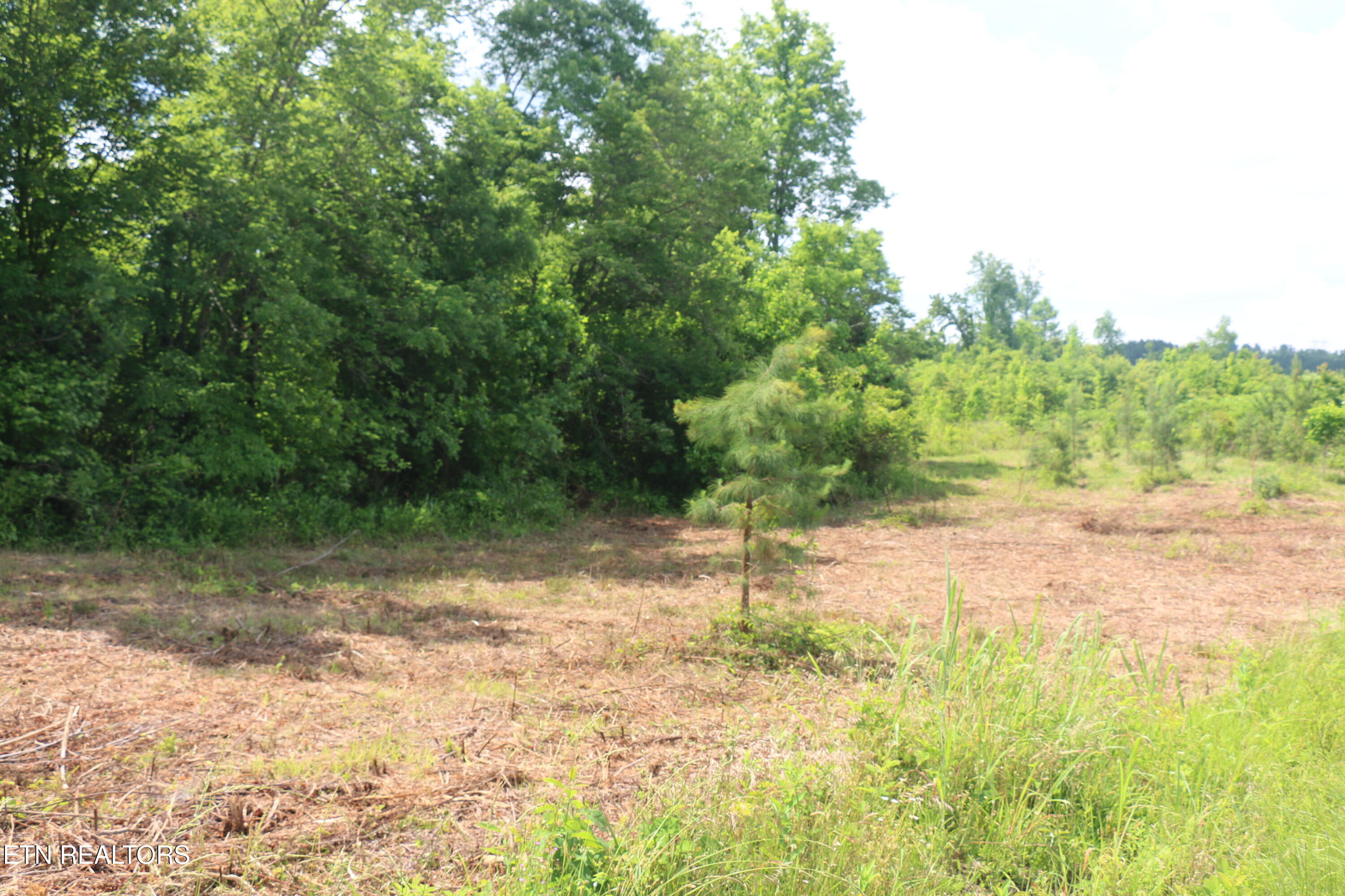 Tract 1 N Nopone Valley Road Decatur TN 37322