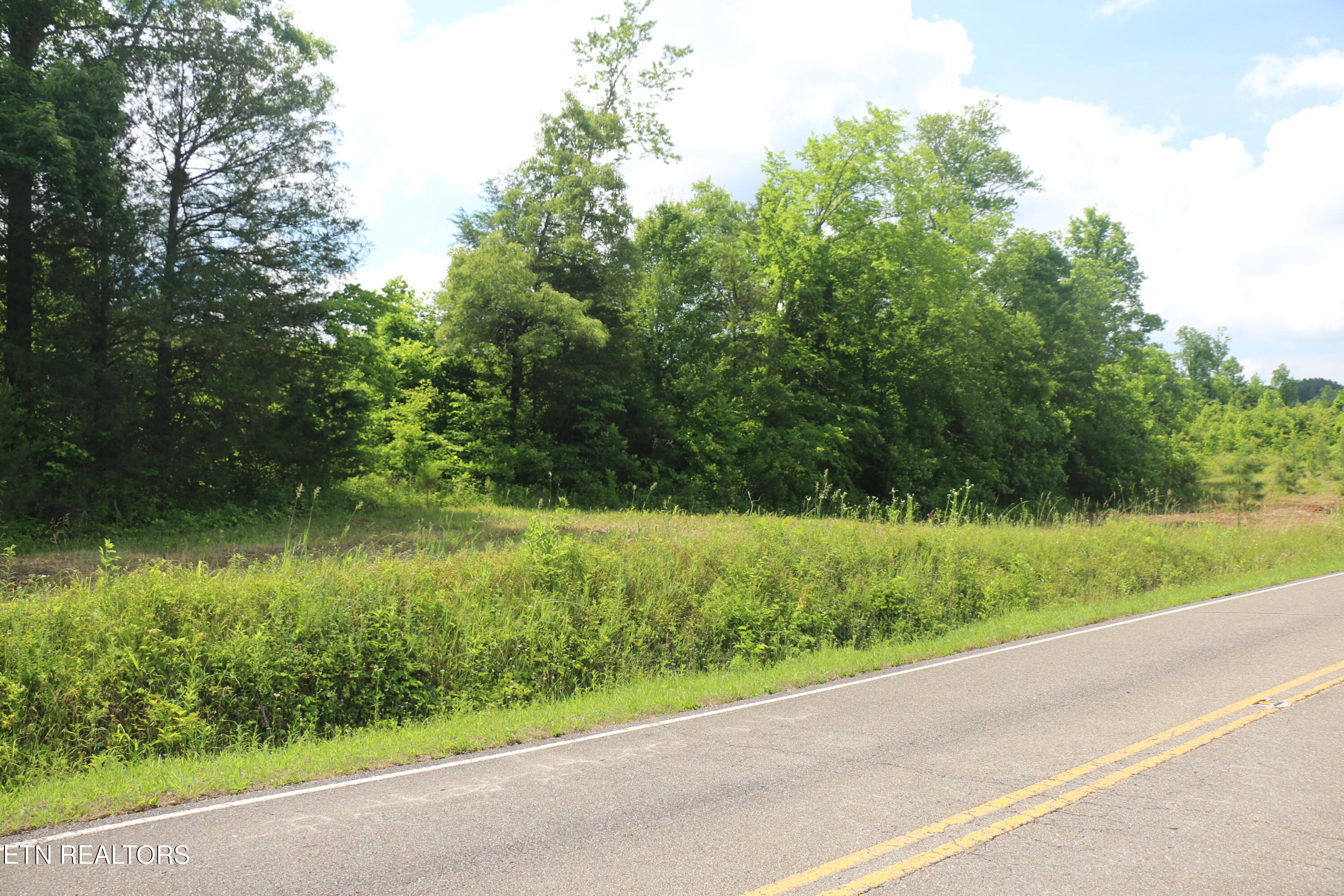 Tract 1 N Nopone Valley Road Decatur TN 37322