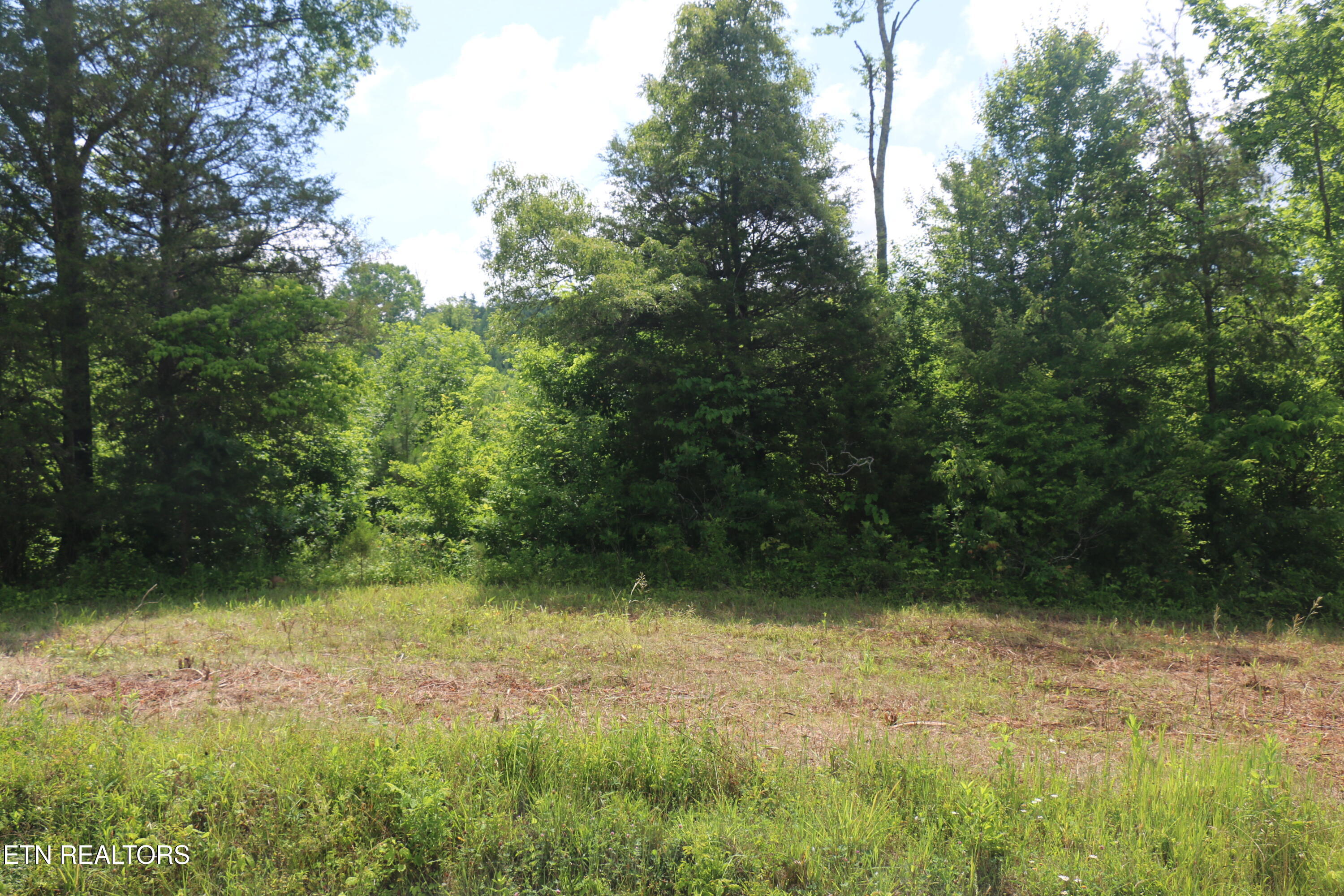 Tract 1 N Nopone Valley Road Decatur TN 37322