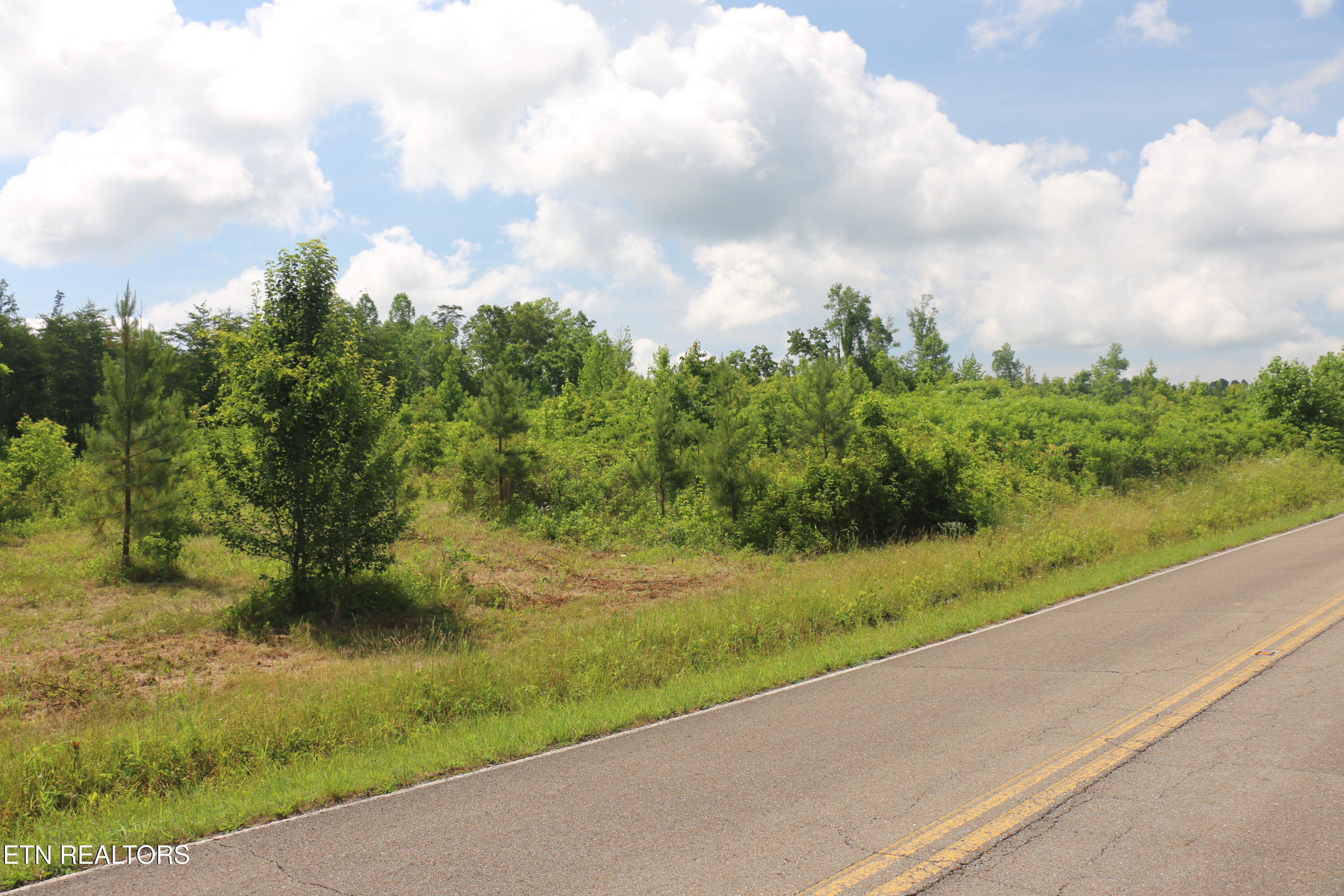 Tract 1 N Nopone Valley Road Decatur TN 37322