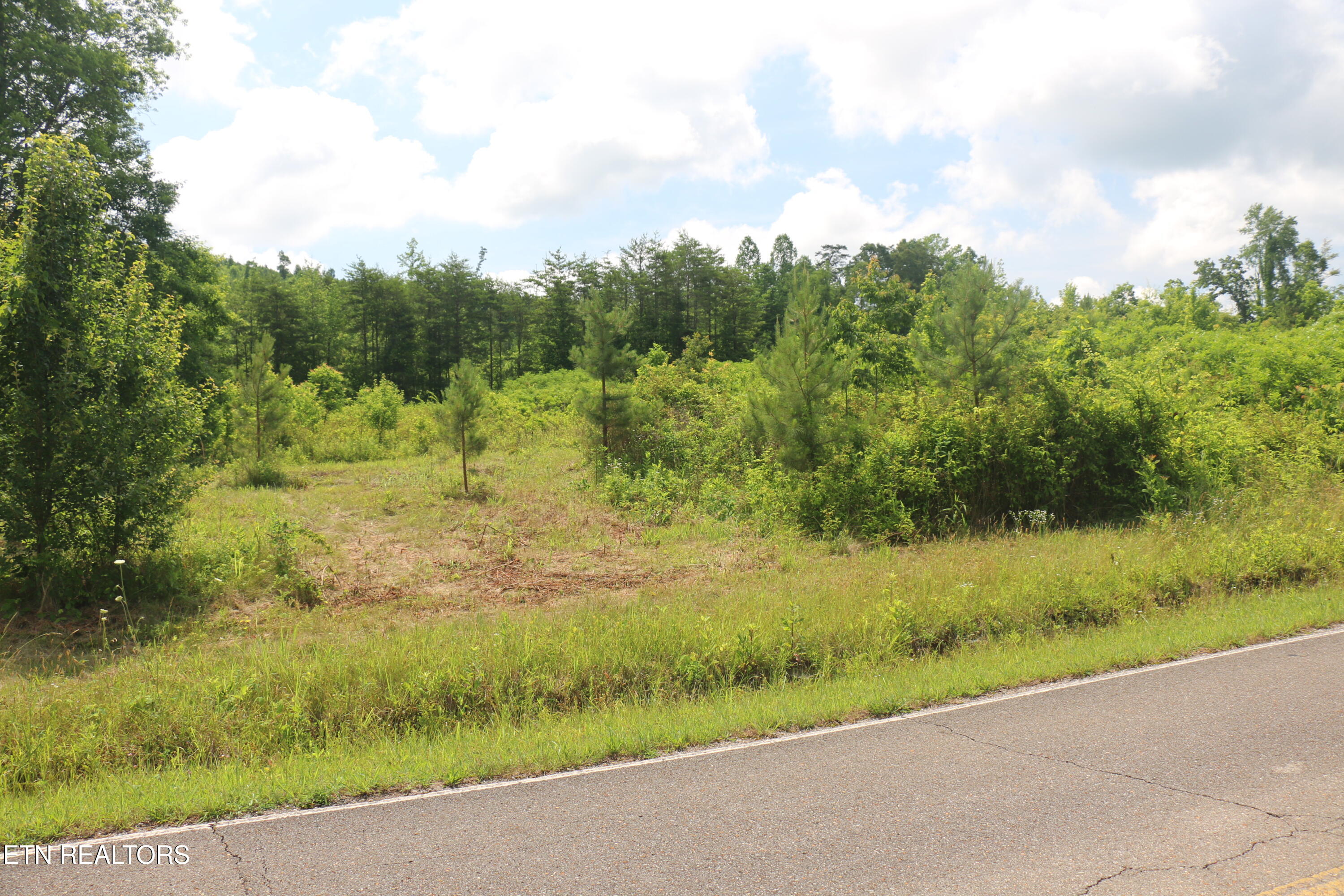 Tract 1 N Nopone Valley Road Decatur TN 37322