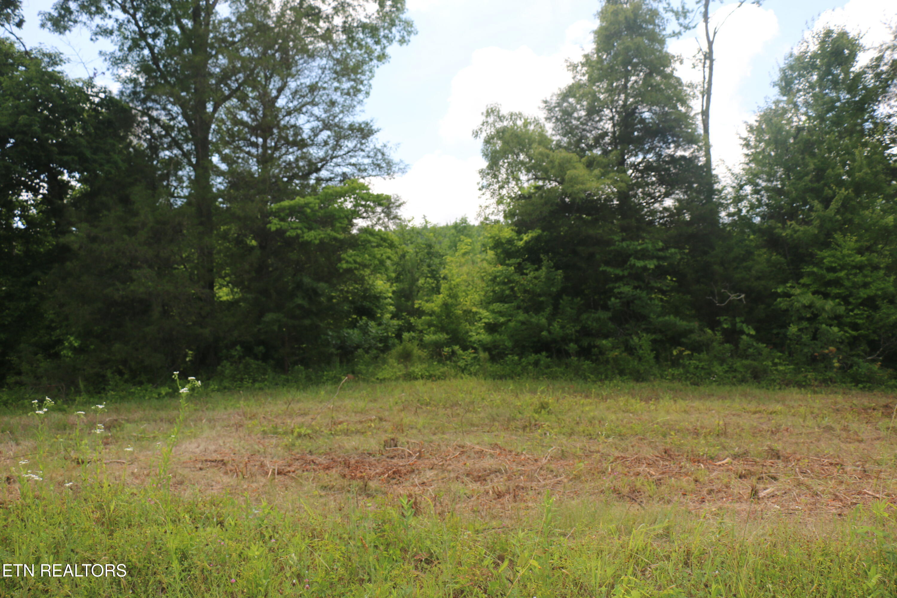 Tract 1 N Nopone Valley Road Decatur TN 37322