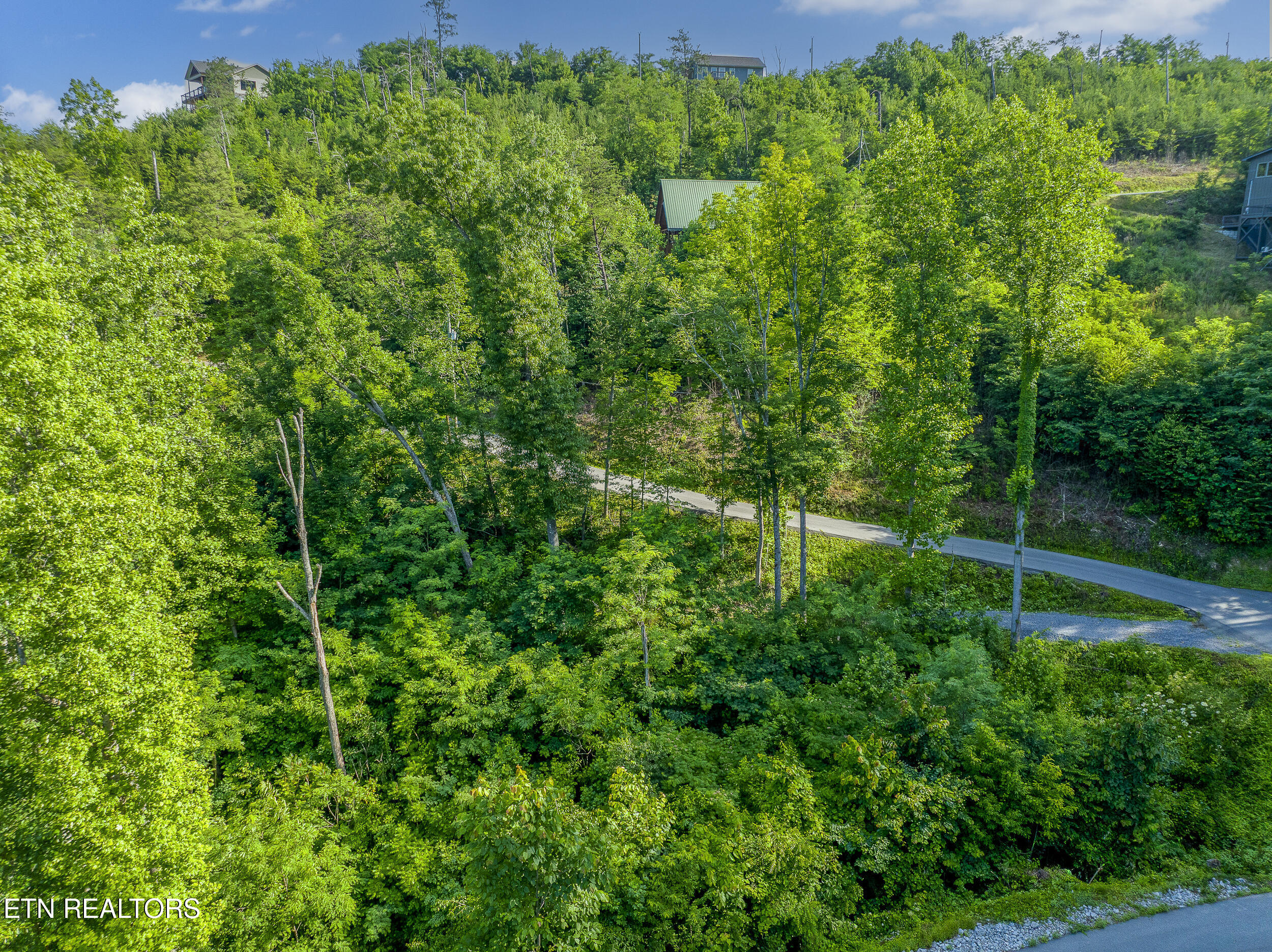 628 Loop Road Gatlinburg TN 37738