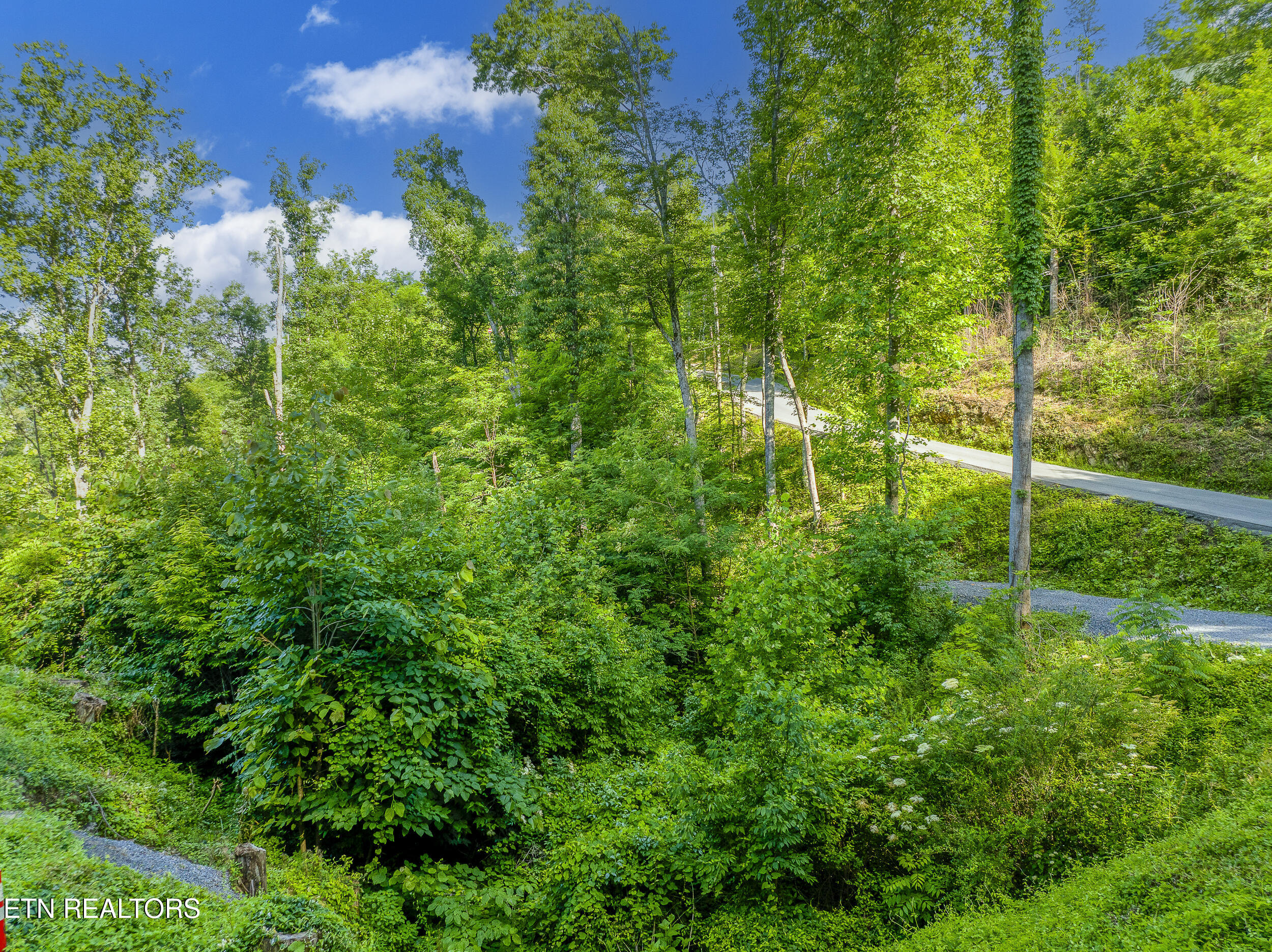 628 Loop Road Gatlinburg TN 37738