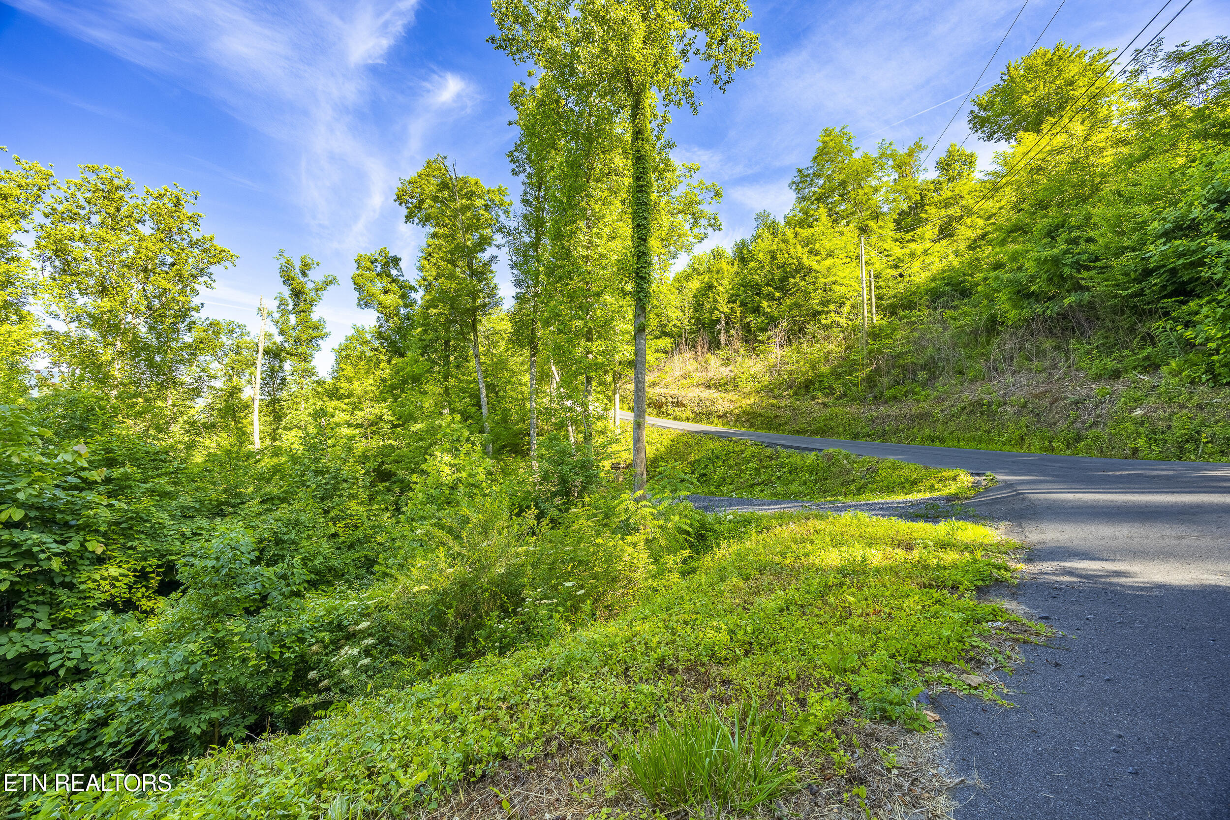 628 Loop Road Gatlinburg TN 37738