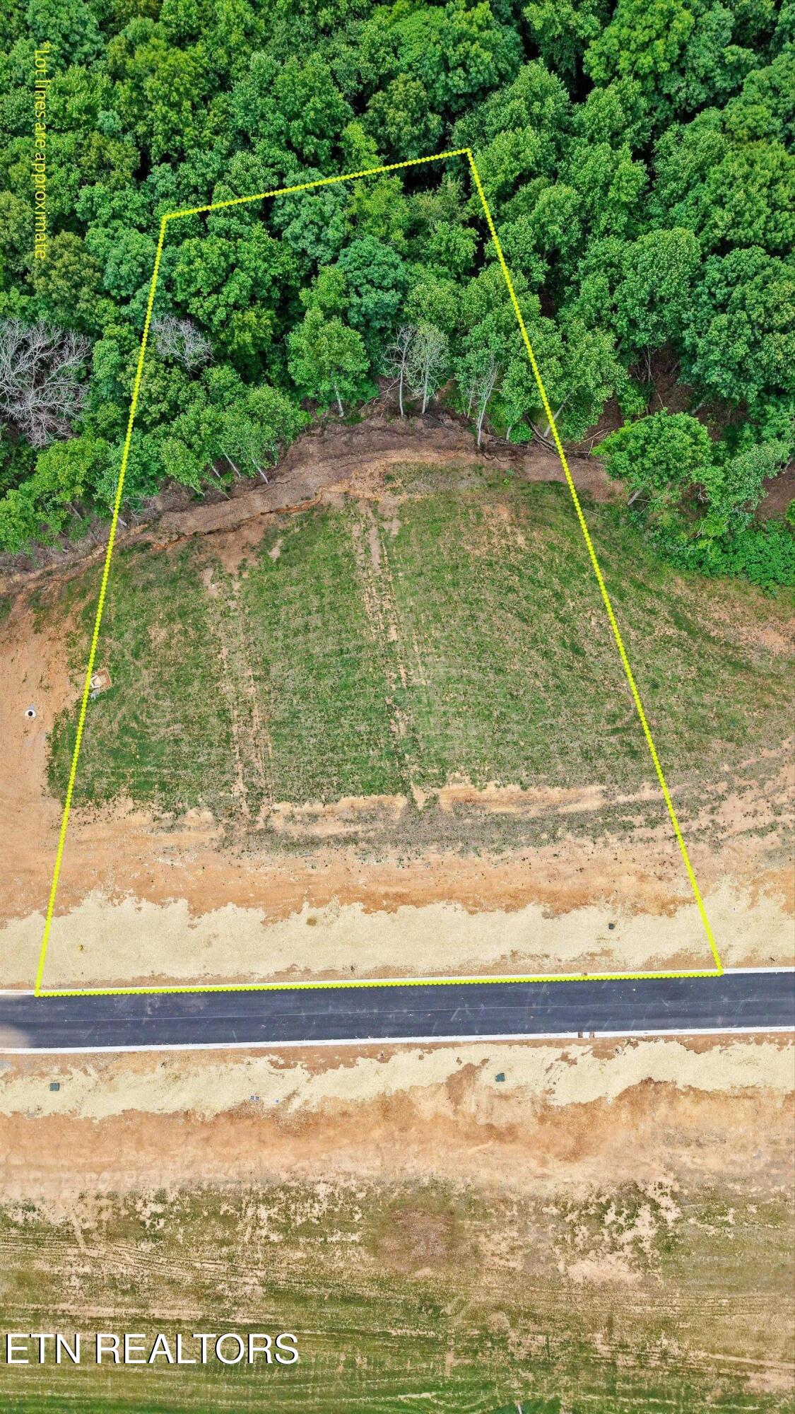 145 Canopy Trail Lane Loudon TN 37774