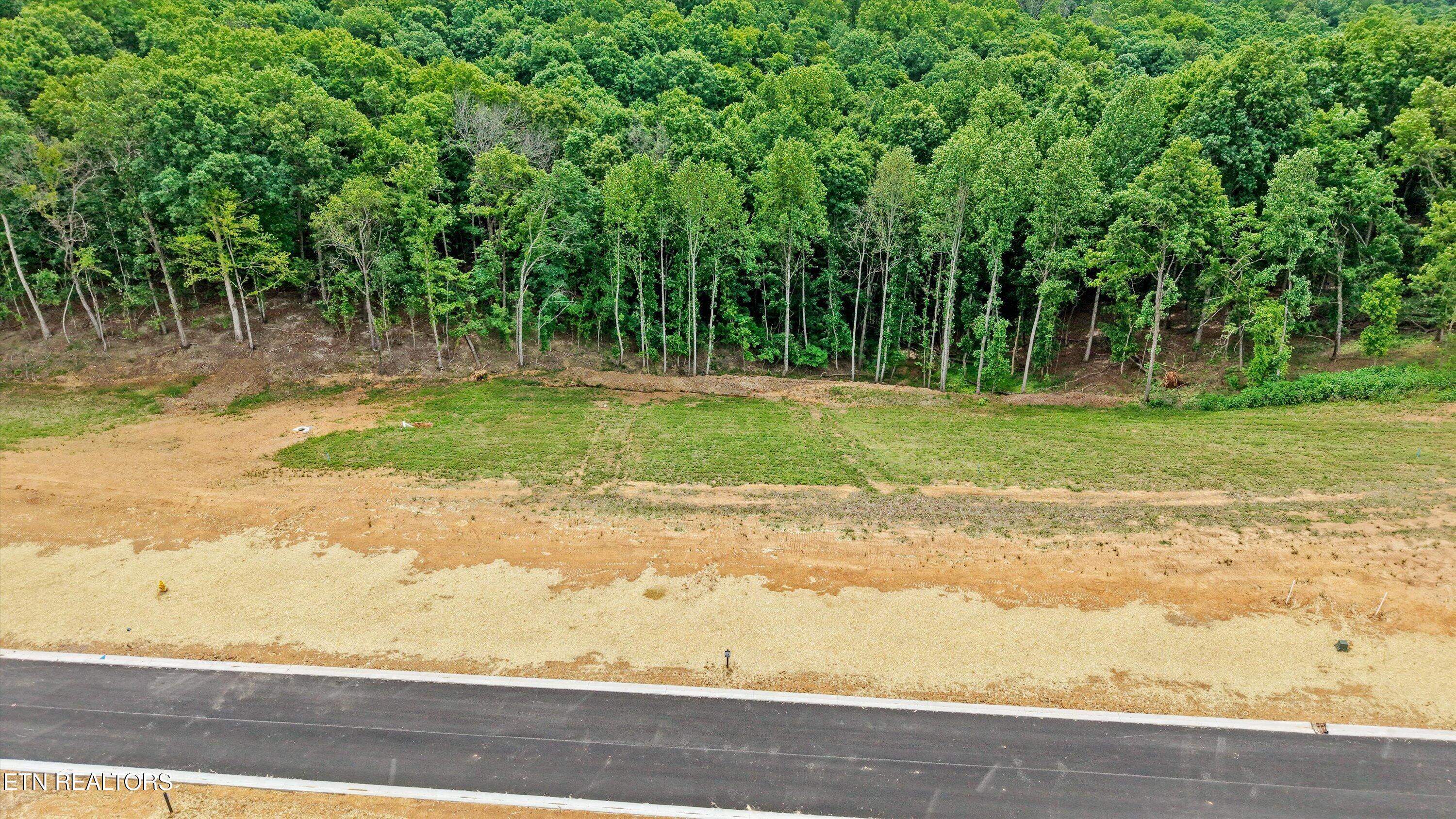 145 Canopy Trail Lane Loudon TN 37774