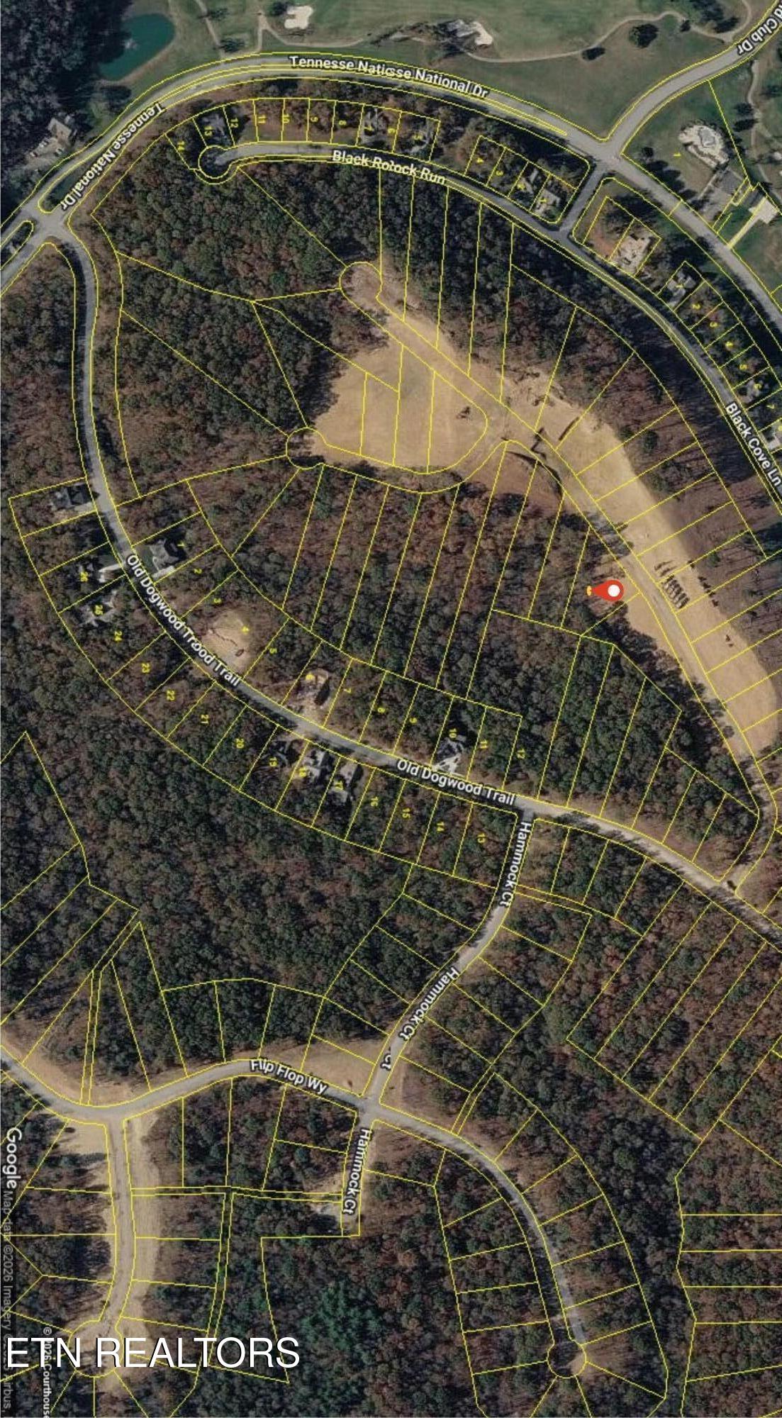 145 Canopy Trail Lane Loudon TN 37774