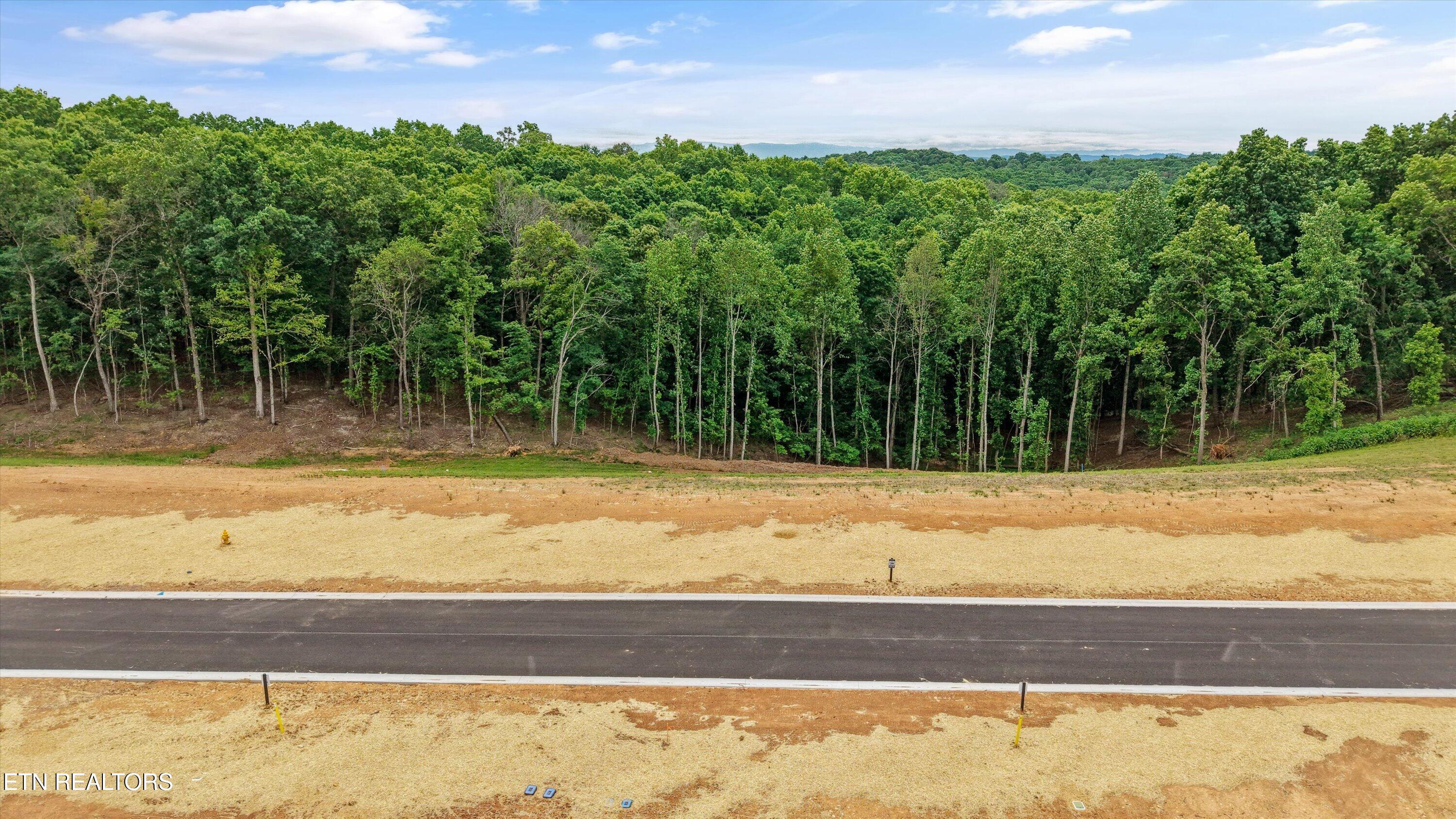 145 Canopy Trail Lane Loudon TN 37774