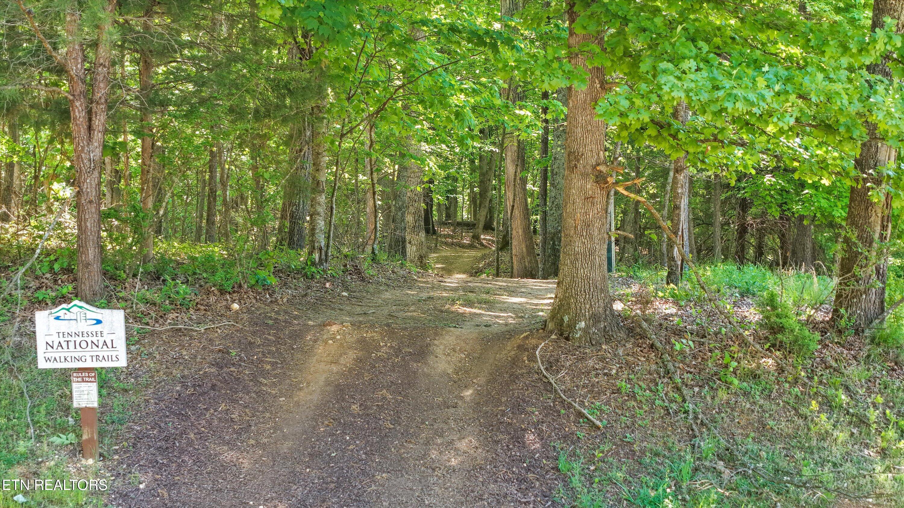 145 Canopy Trail Lane Loudon TN 37774