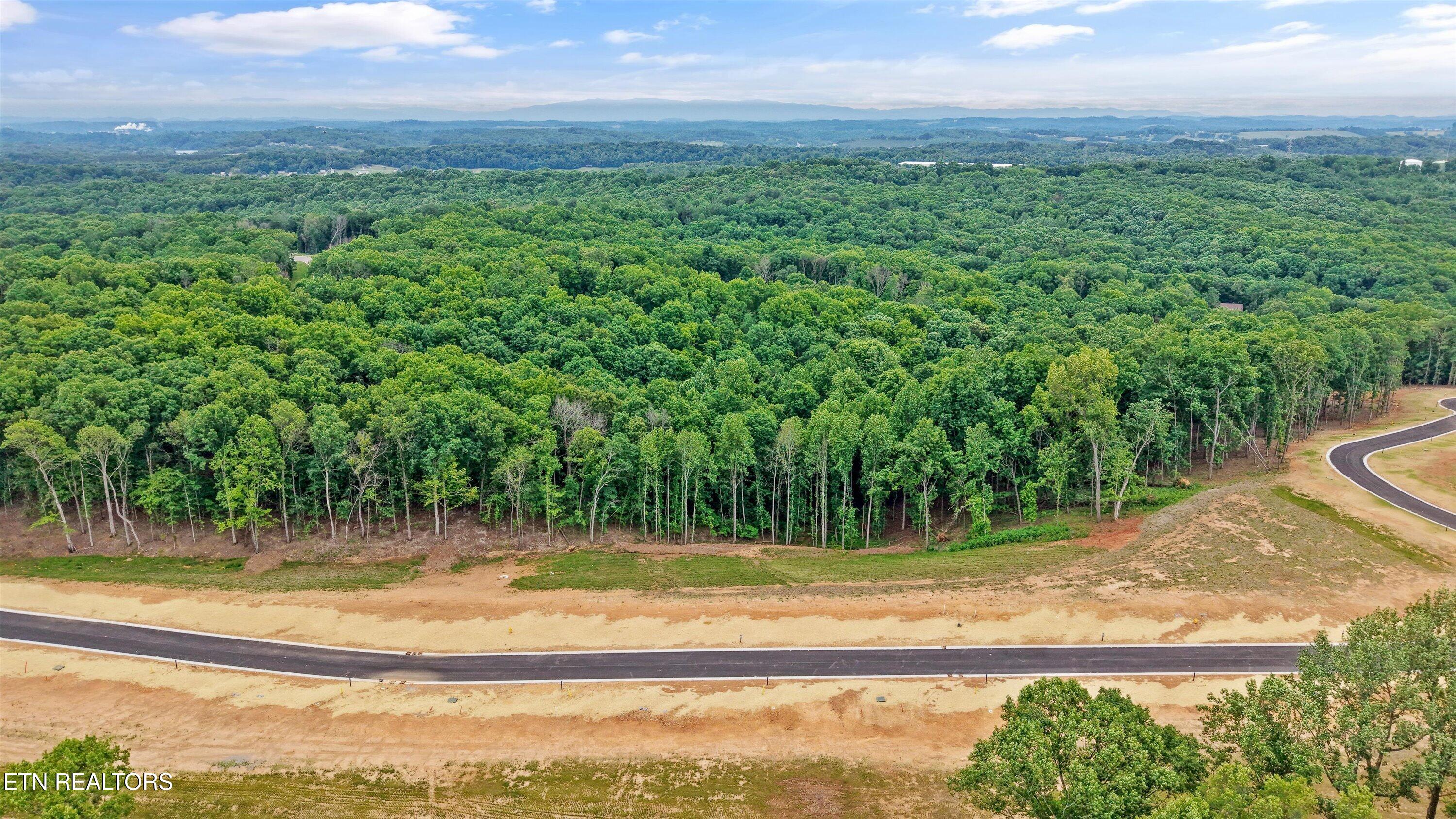 145 Canopy Trail Lane Loudon TN 37774