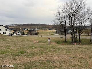 254 Hawks Bend Loudon TN 37774
