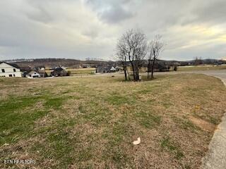 254 Hawks Bend Loudon TN 37774