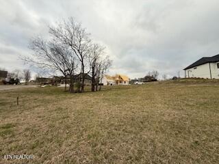 254 Hawks Bend Loudon TN 37774