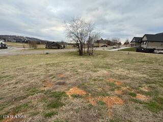 254 Hawks Bend Loudon TN 37774