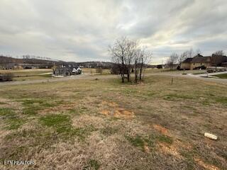 254 Hawks Bend Loudon TN 37774
