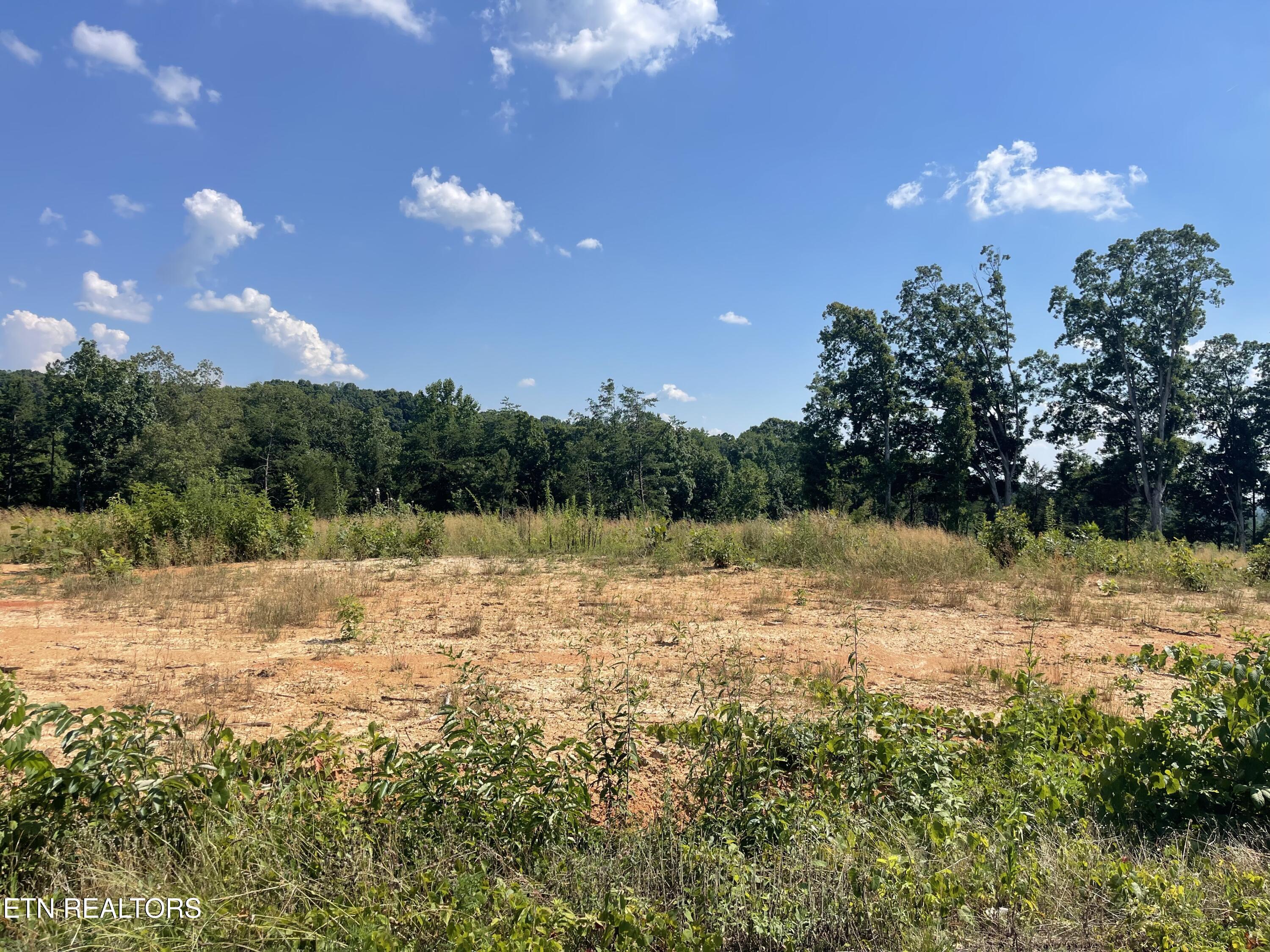 Lot 20 Laura Boling Loop Road Strawberry Plains TN 37871