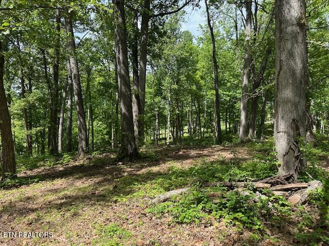 000 Salem Road Greeneville TN 37743