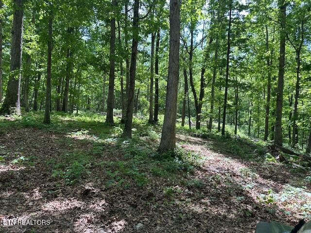 000 Salem Road Greeneville TN 37743