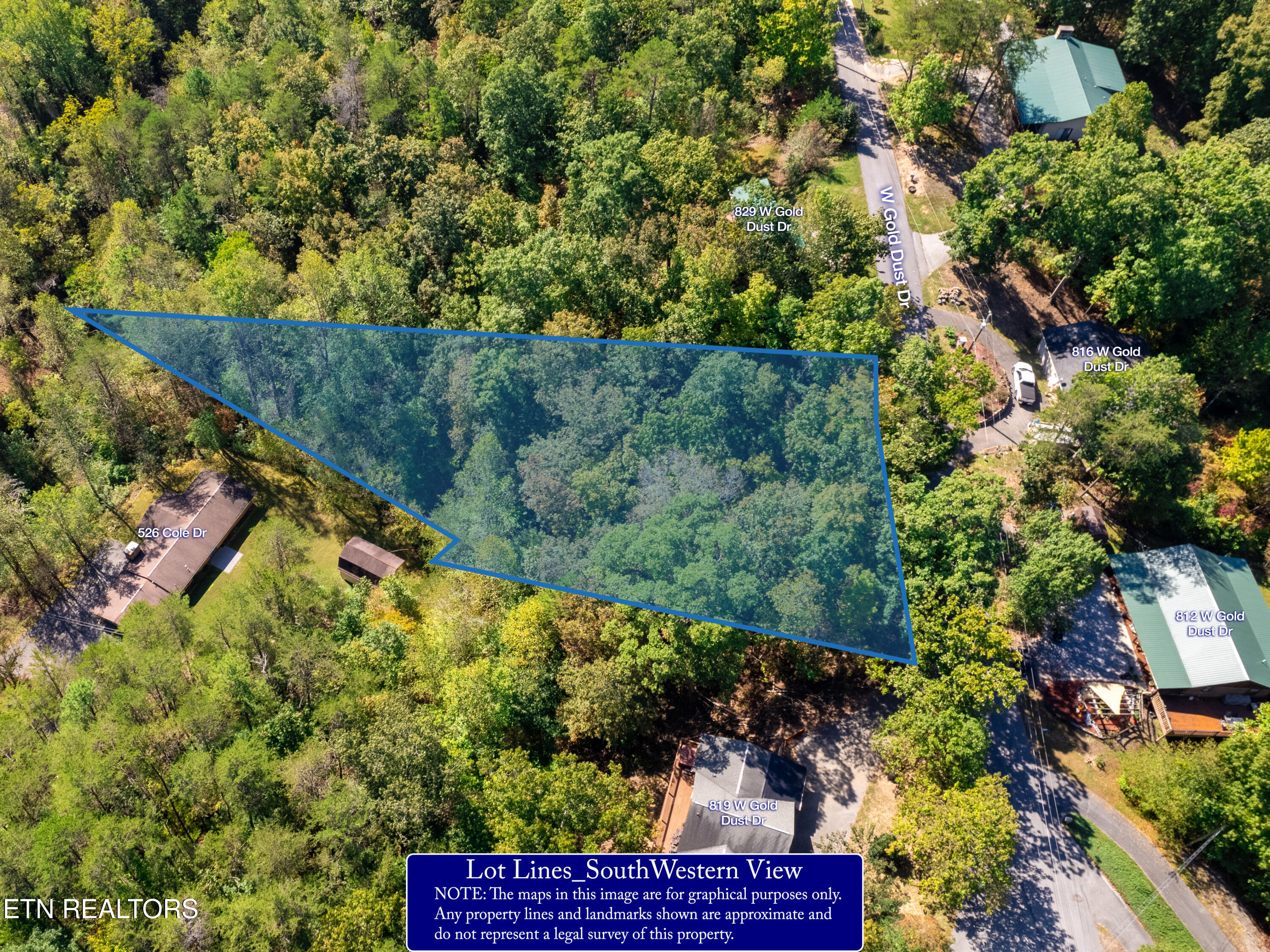 W Gold Dust Drive Pigeon Forge TN 37863
