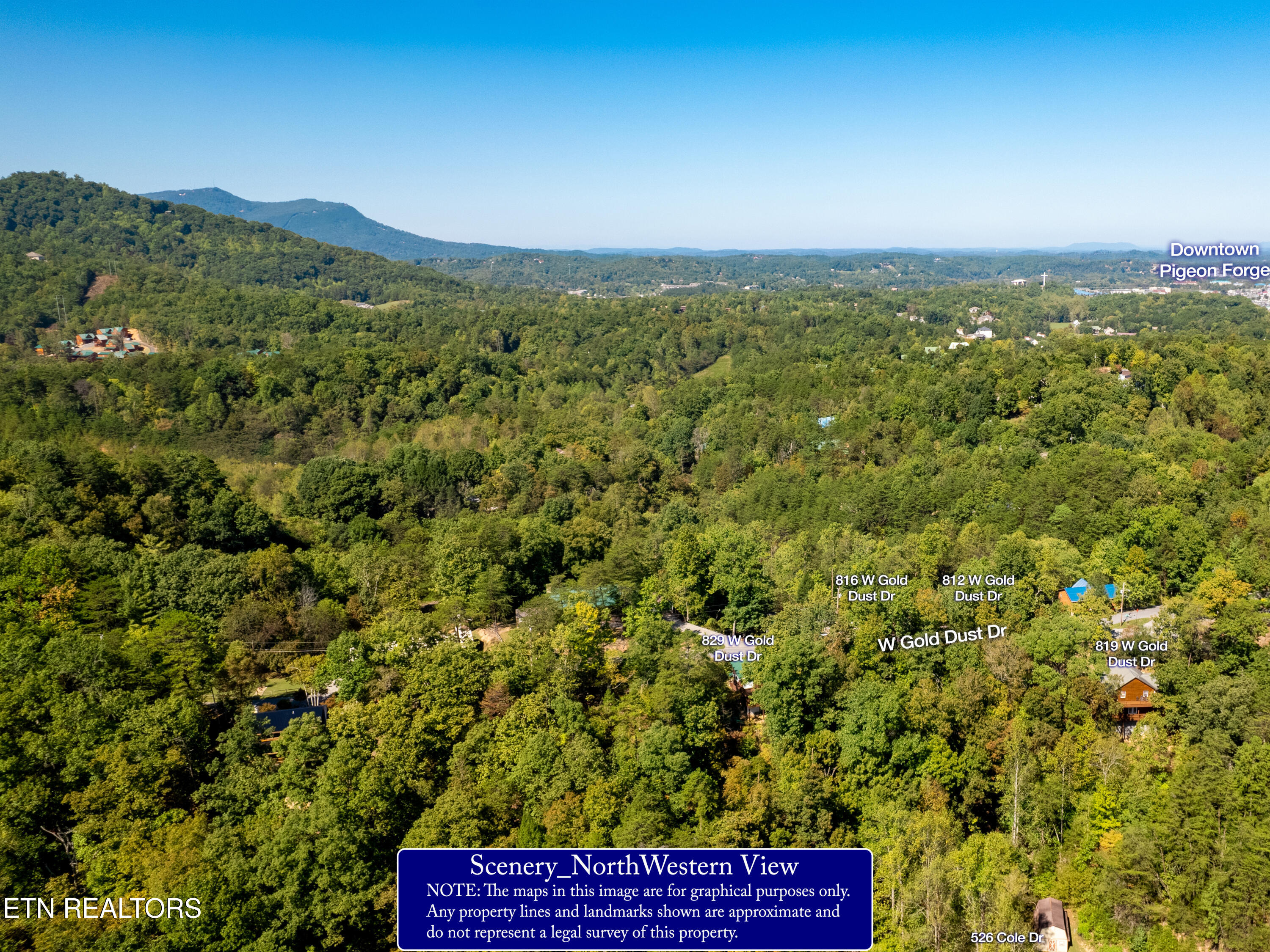 W Gold Dust Drive Pigeon Forge TN 37863