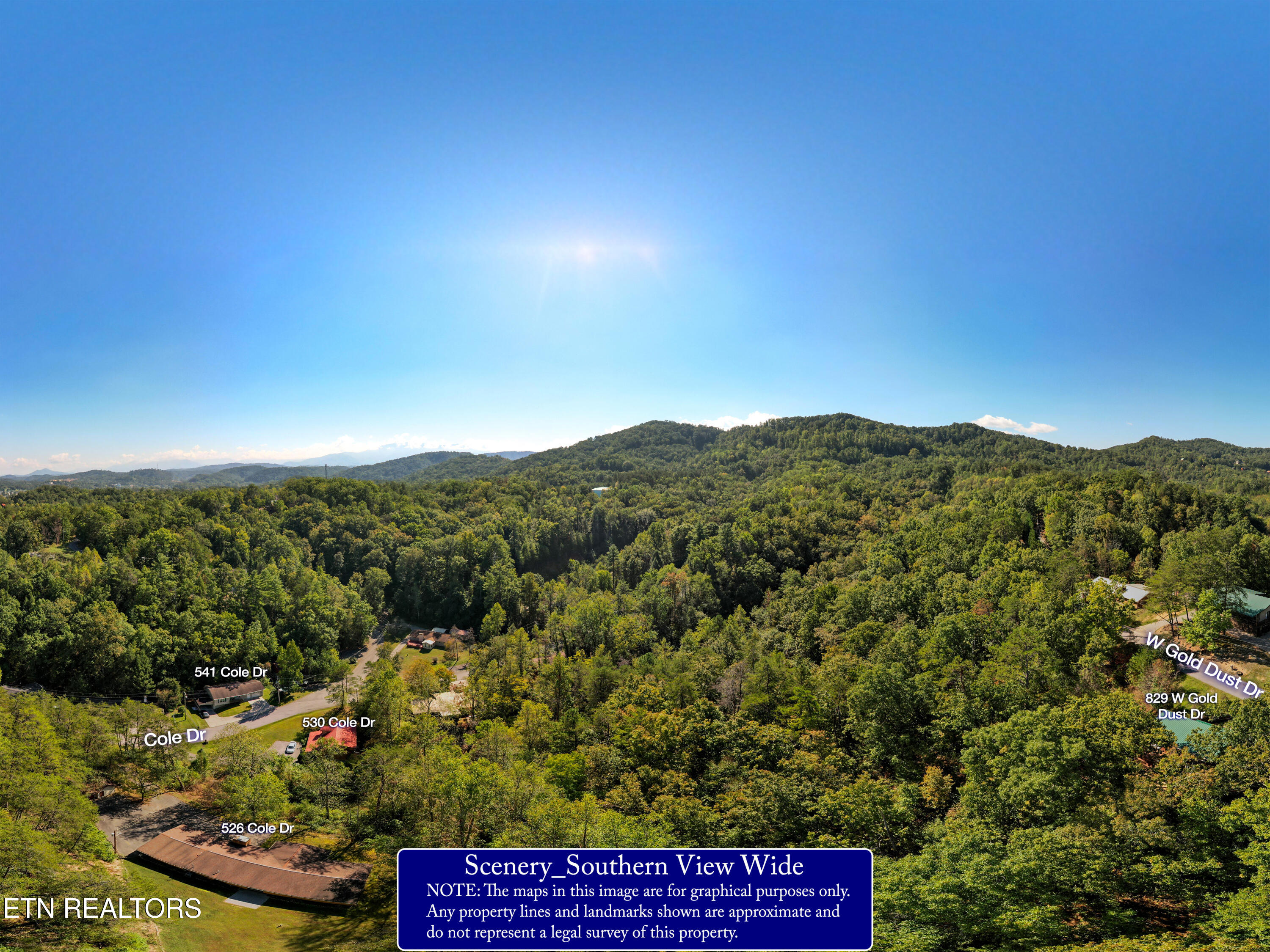W Gold Dust Drive Pigeon Forge TN 37863
