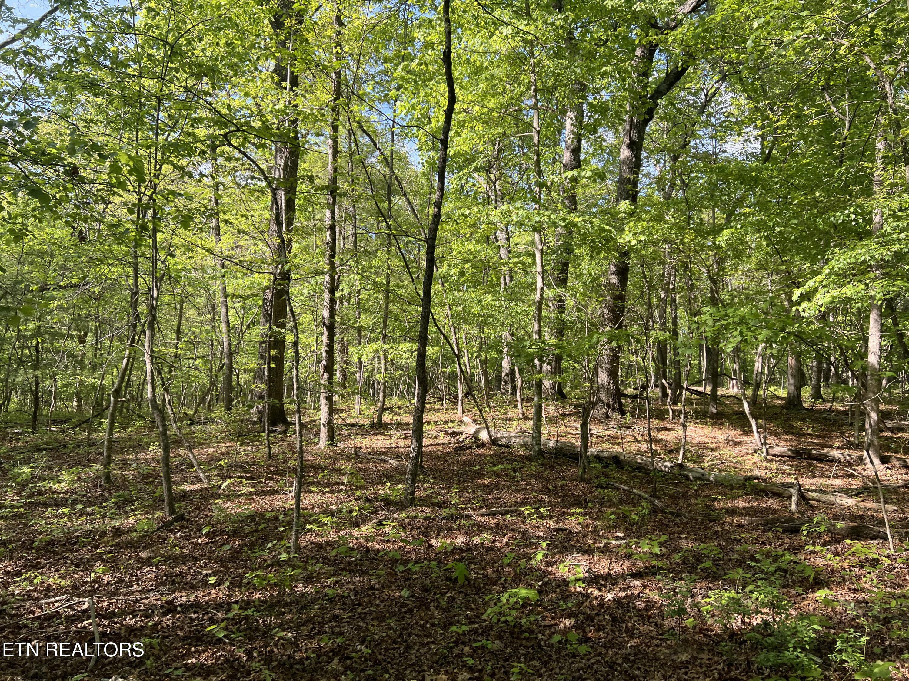 328AC Peavine Firetower Road Crossville TN 38571