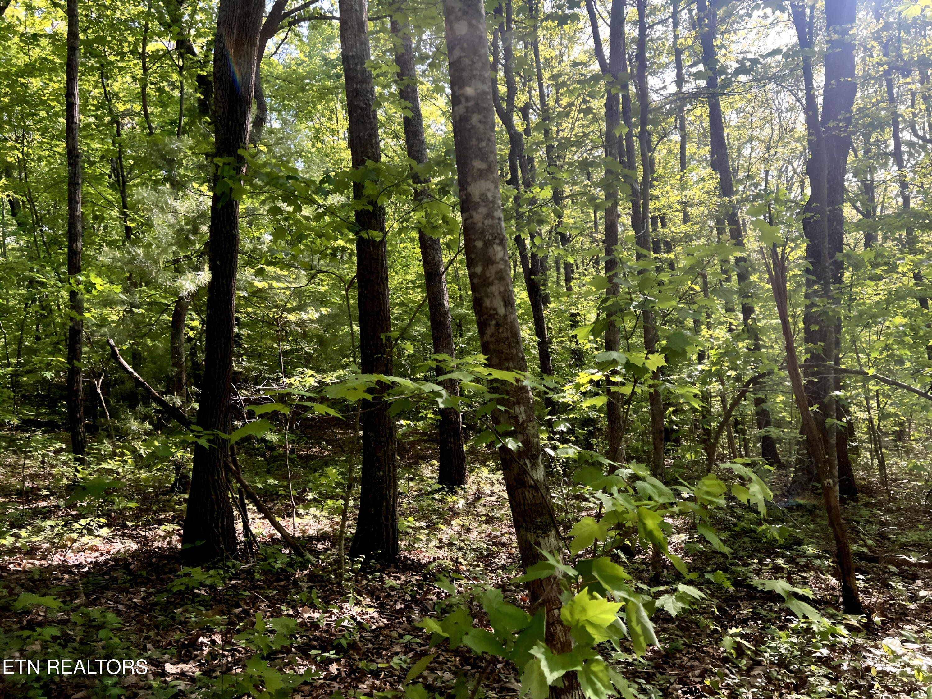 328AC Peavine Firetower Road Crossville TN 38571