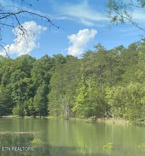 Lot 8 Pleasure Road Sevierville TN 37876
