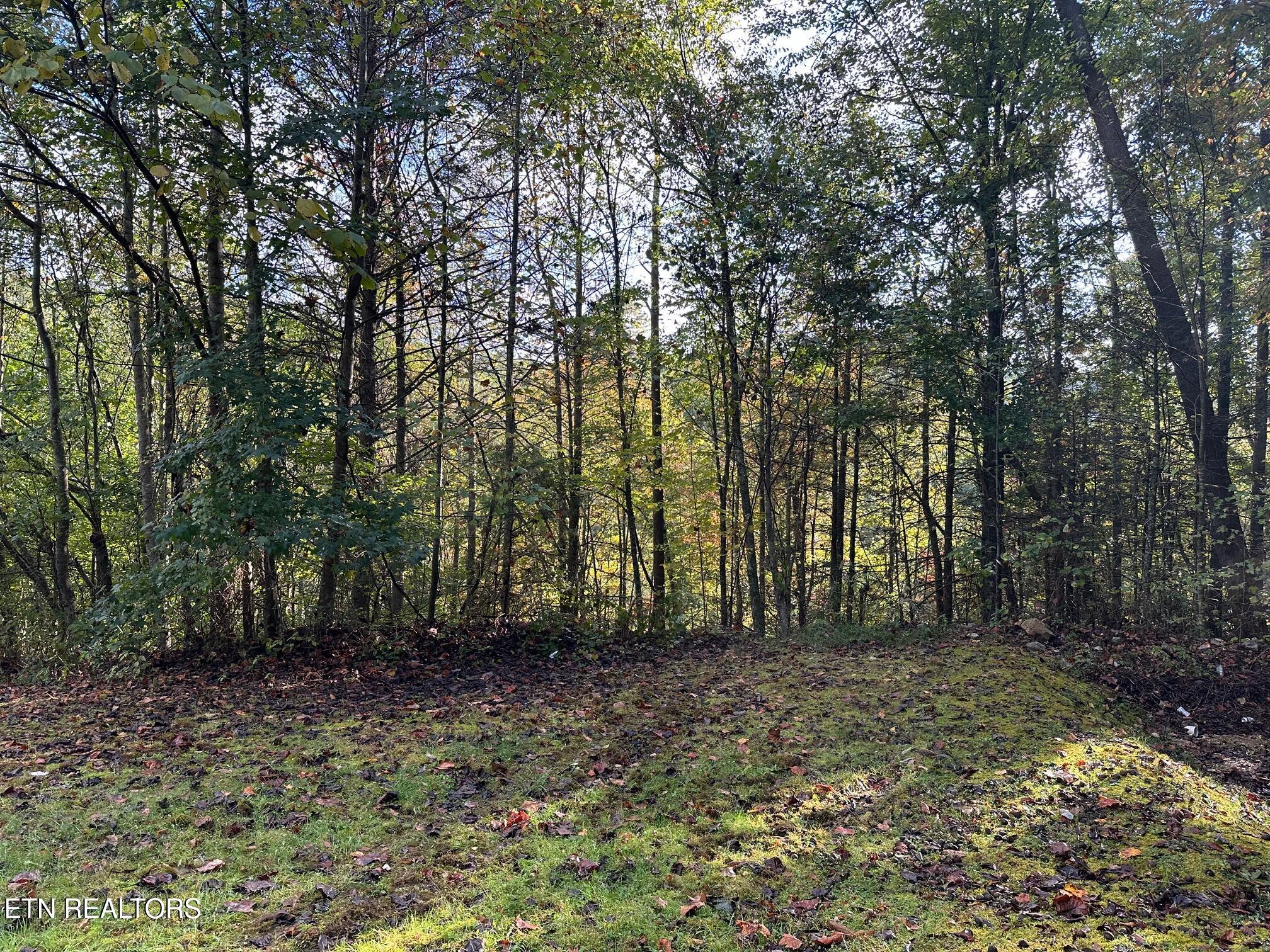 1423 Mountain Dreams Way Sevierville TN 37862