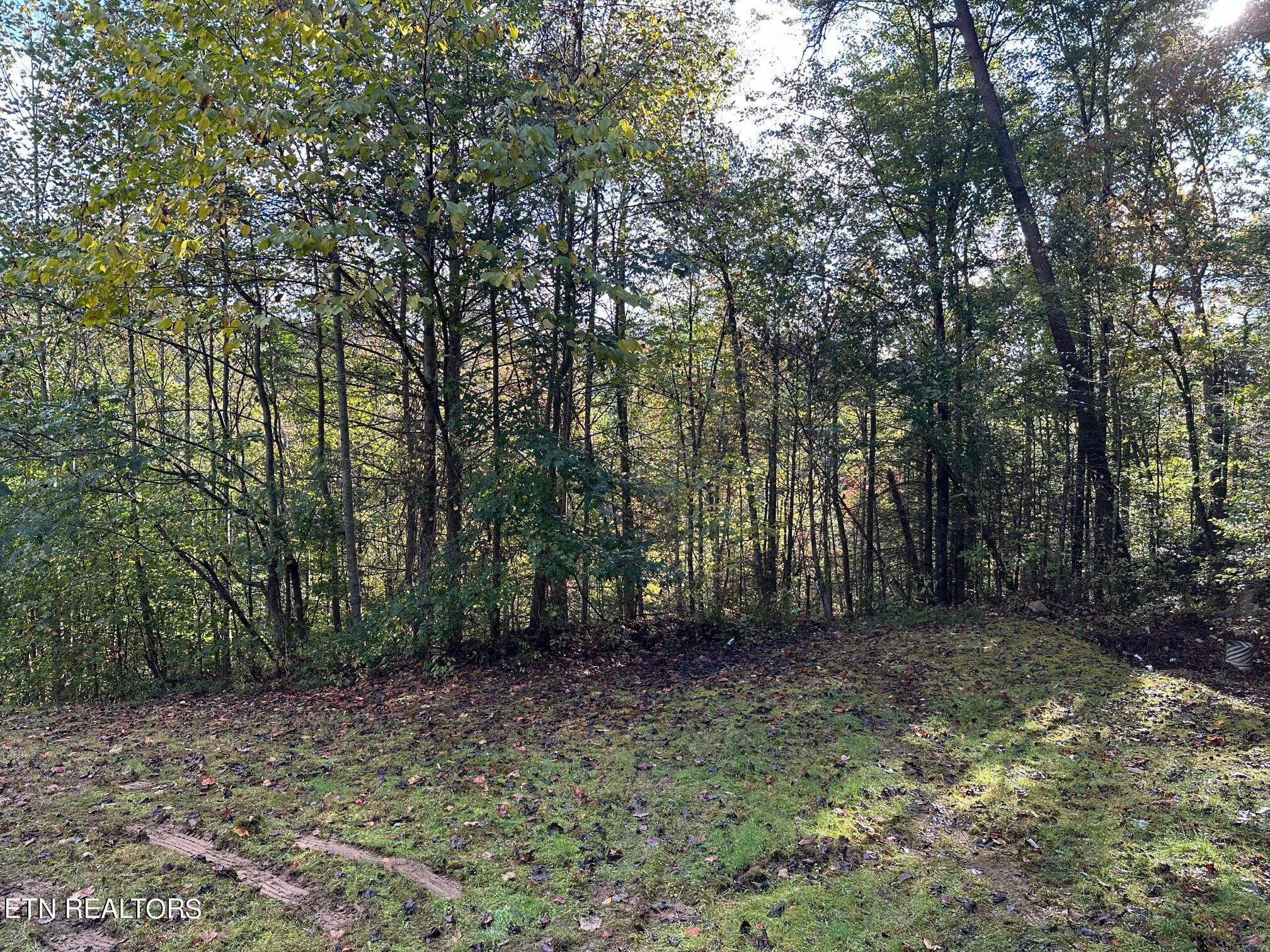 1423 Mountain Dreams Way Sevierville TN 37862