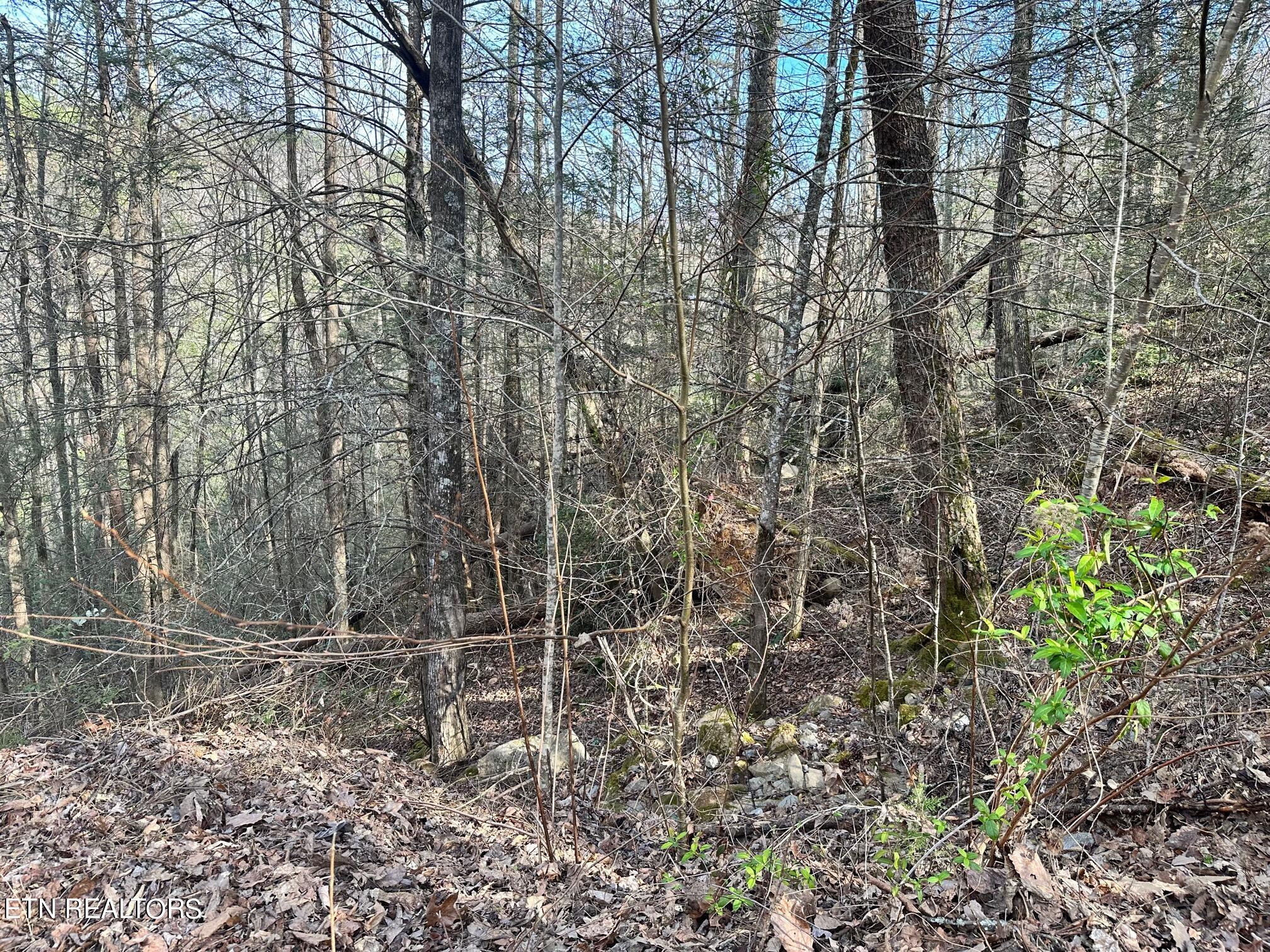 1423 Mountain Dreams Way Sevierville TN 37862