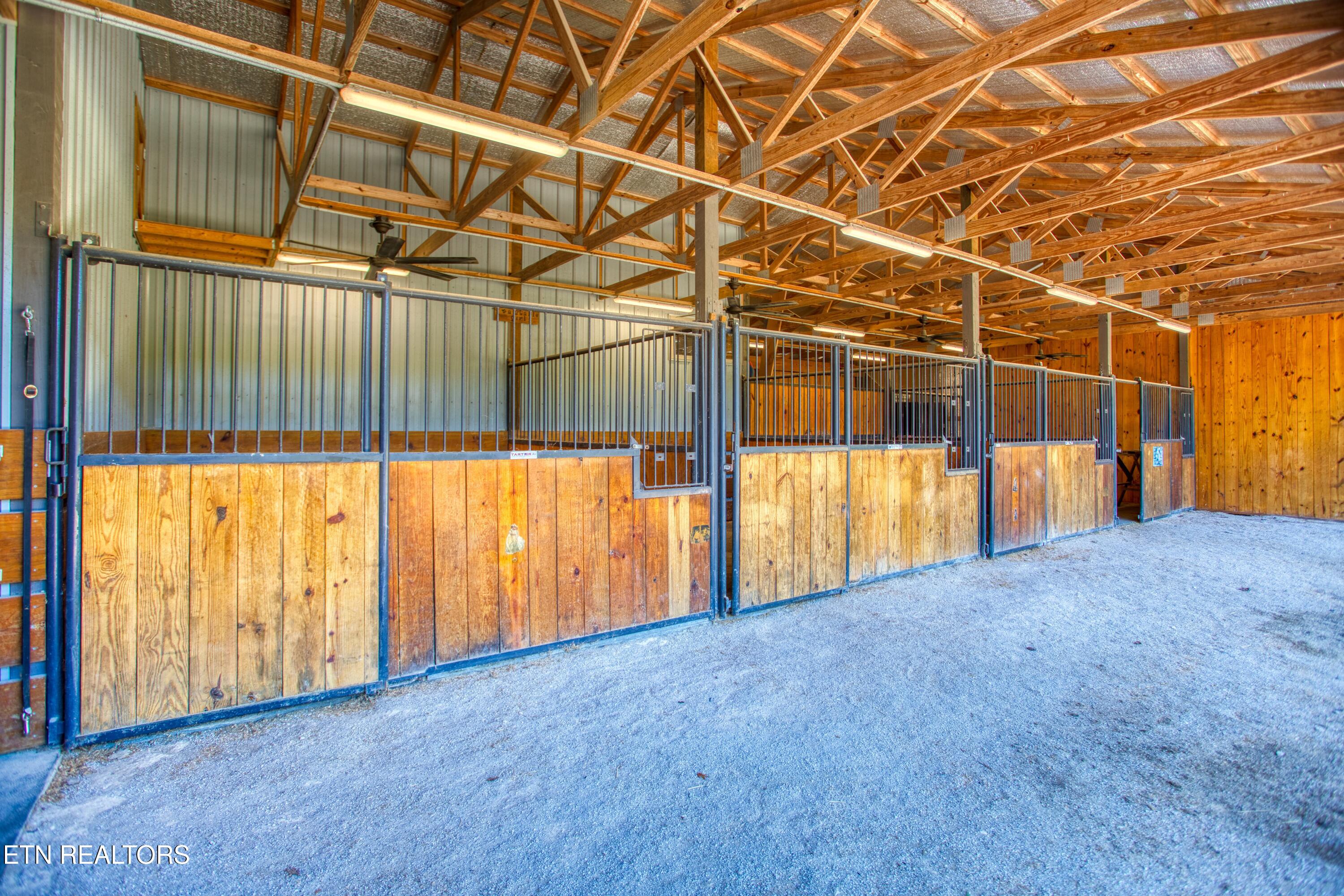 419 Palomino Run Jamestown TN 38556