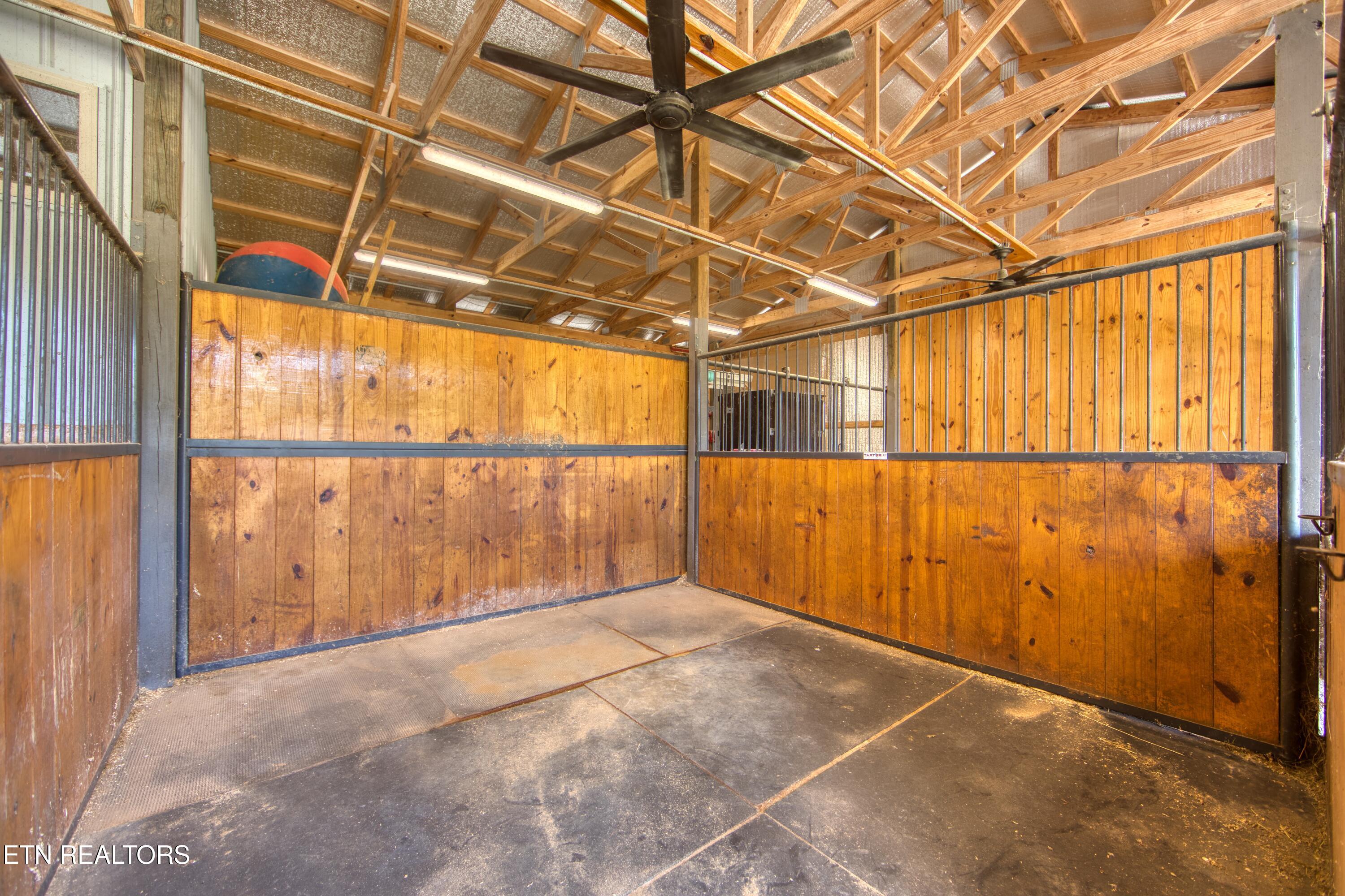 419 Palomino Run Jamestown TN 38556