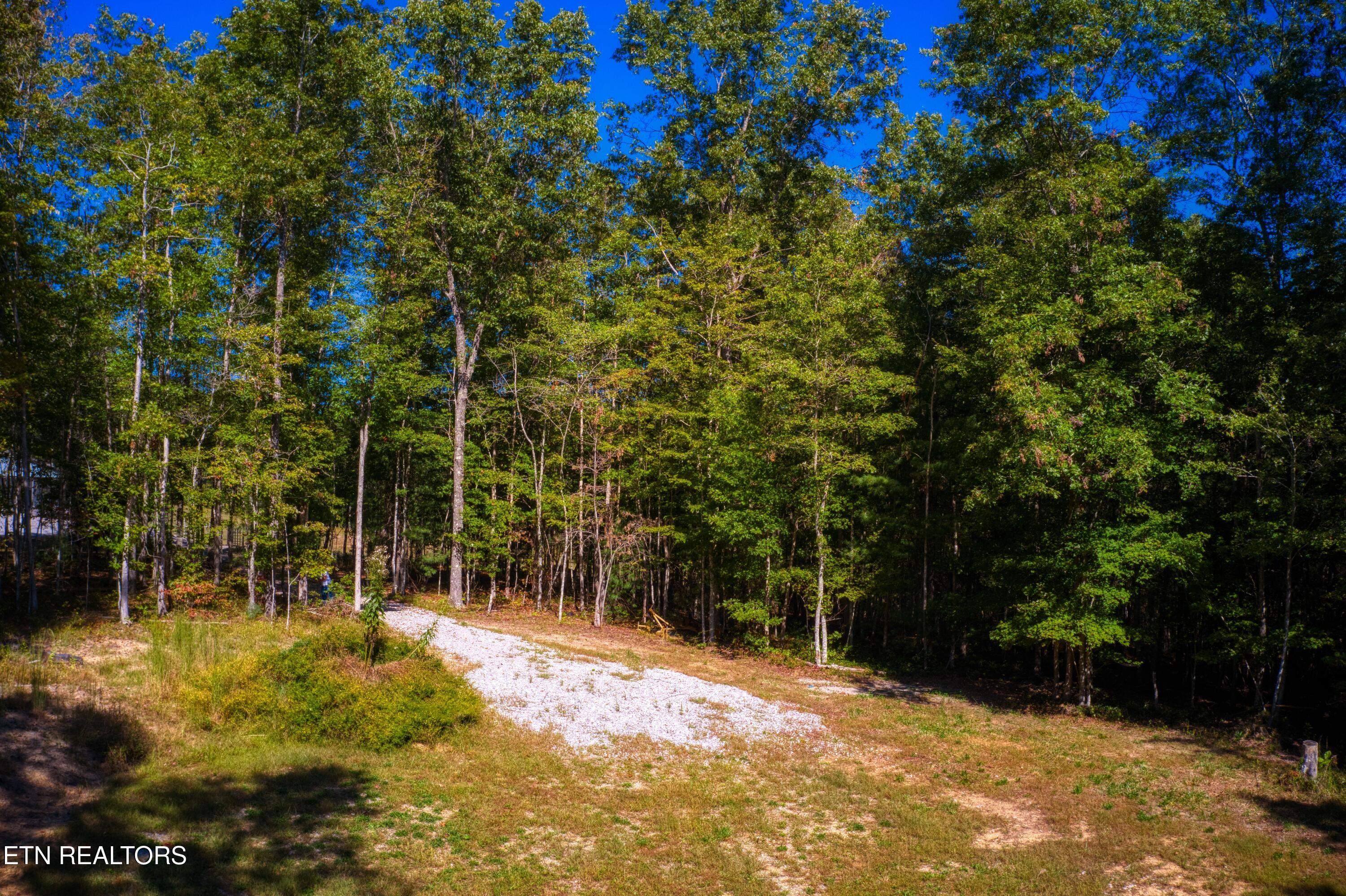 419 Palomino Run Jamestown TN 38556