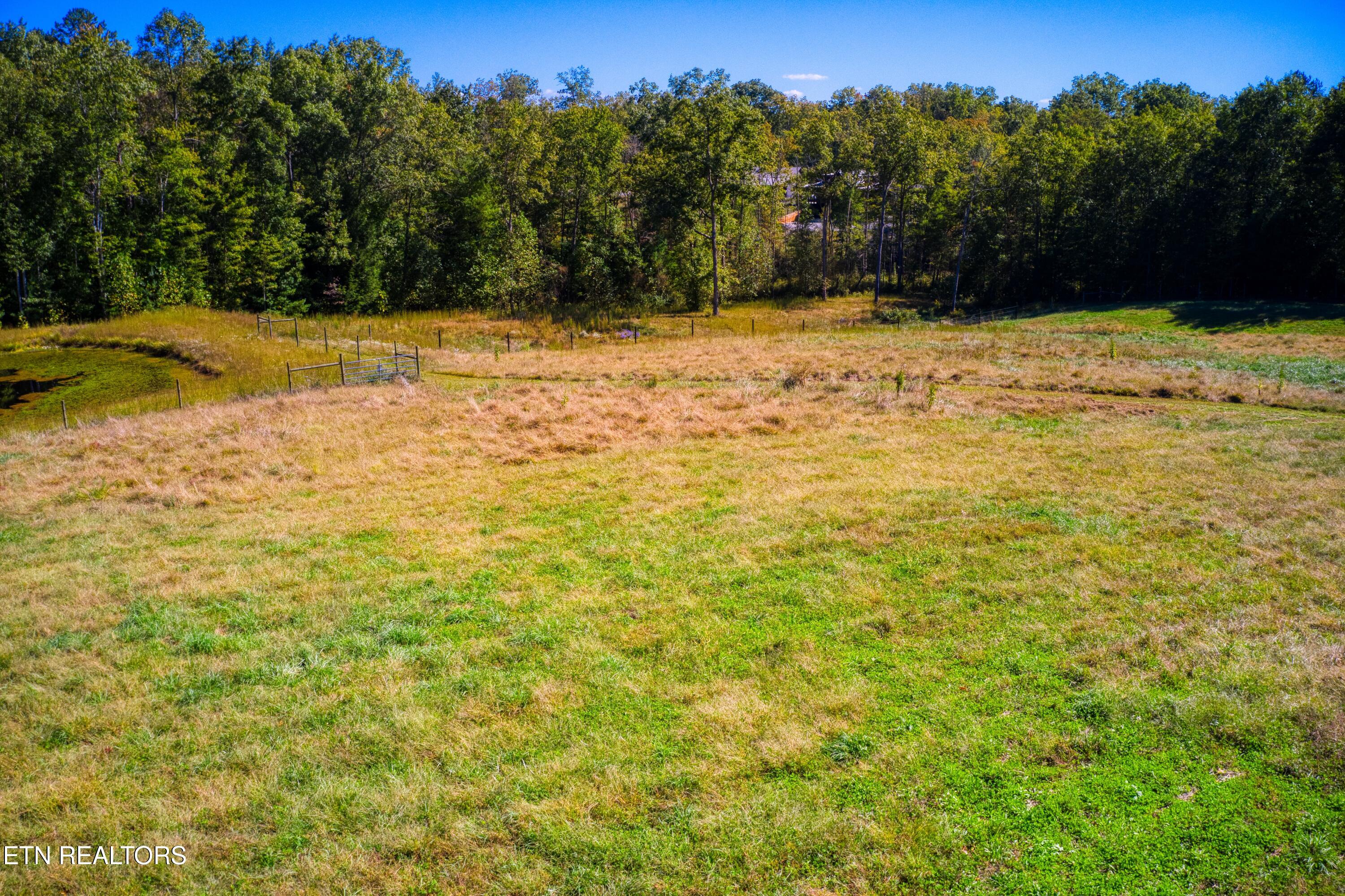 419 Palomino Run Jamestown TN 38556