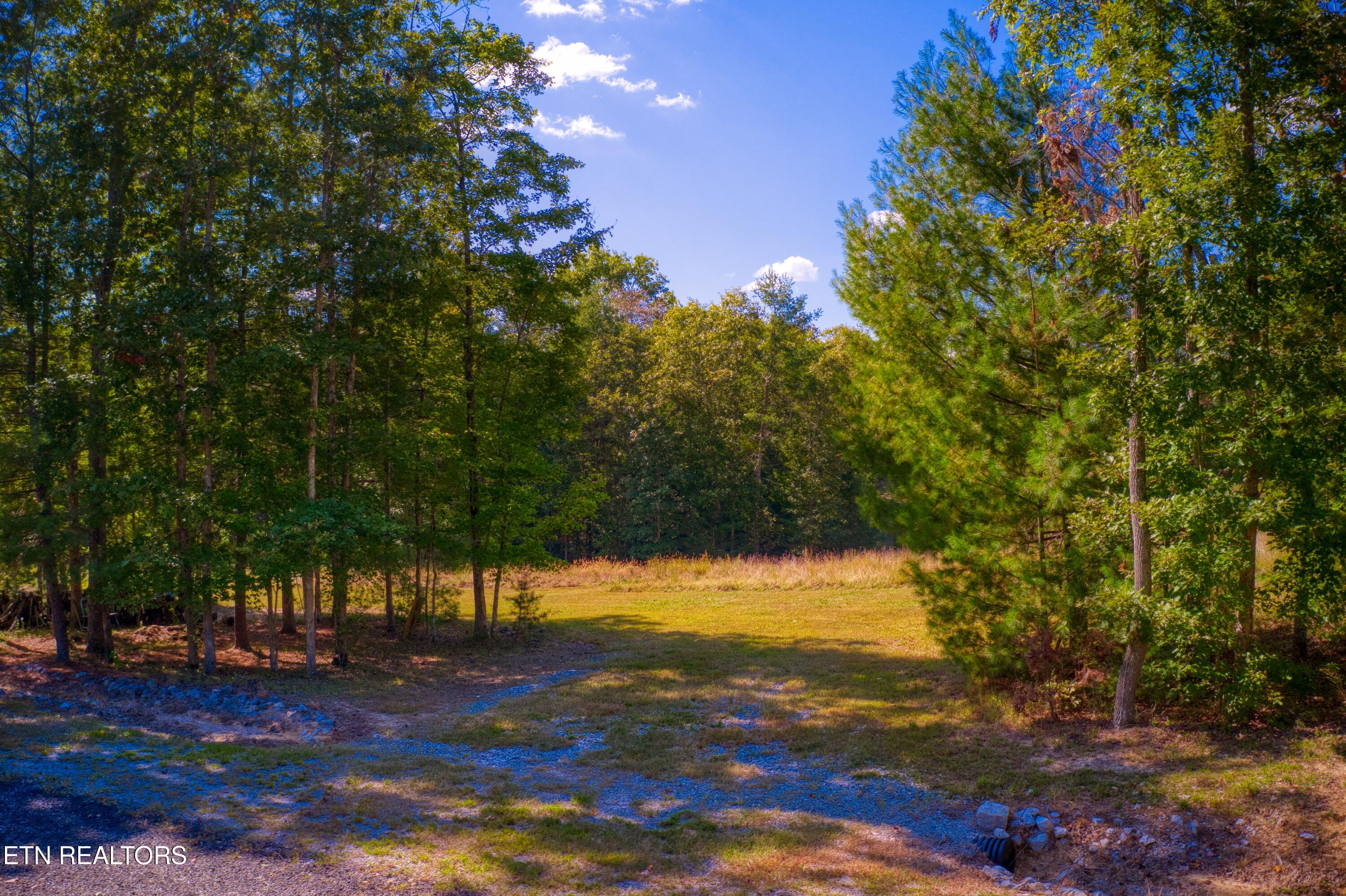419 Palomino Run Jamestown TN 38556